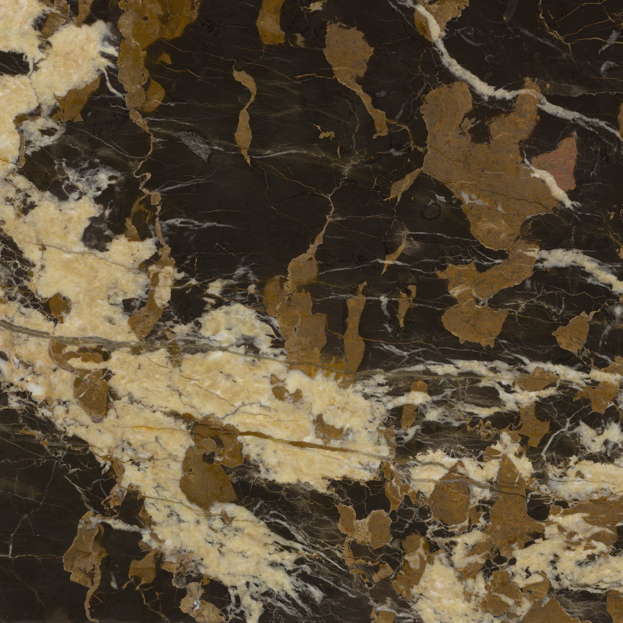 Portoro Gold Tile, Size (In cm): 60 * 120 at Rs 65/square feet in