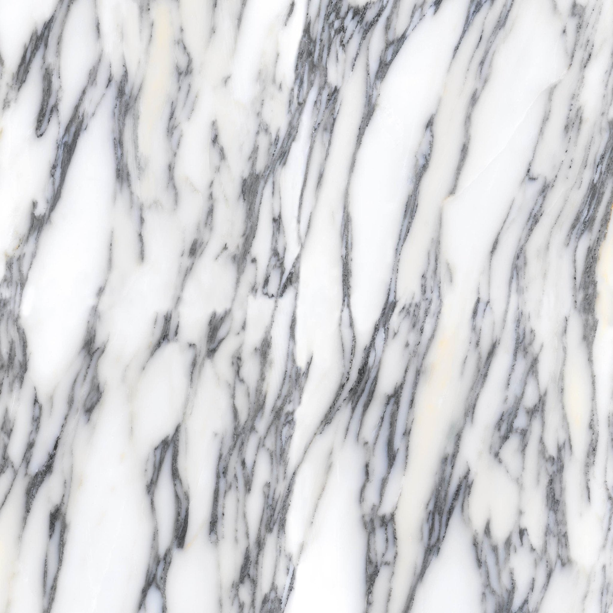 Arabescato Corchia - High Resolution Natural Stone Images