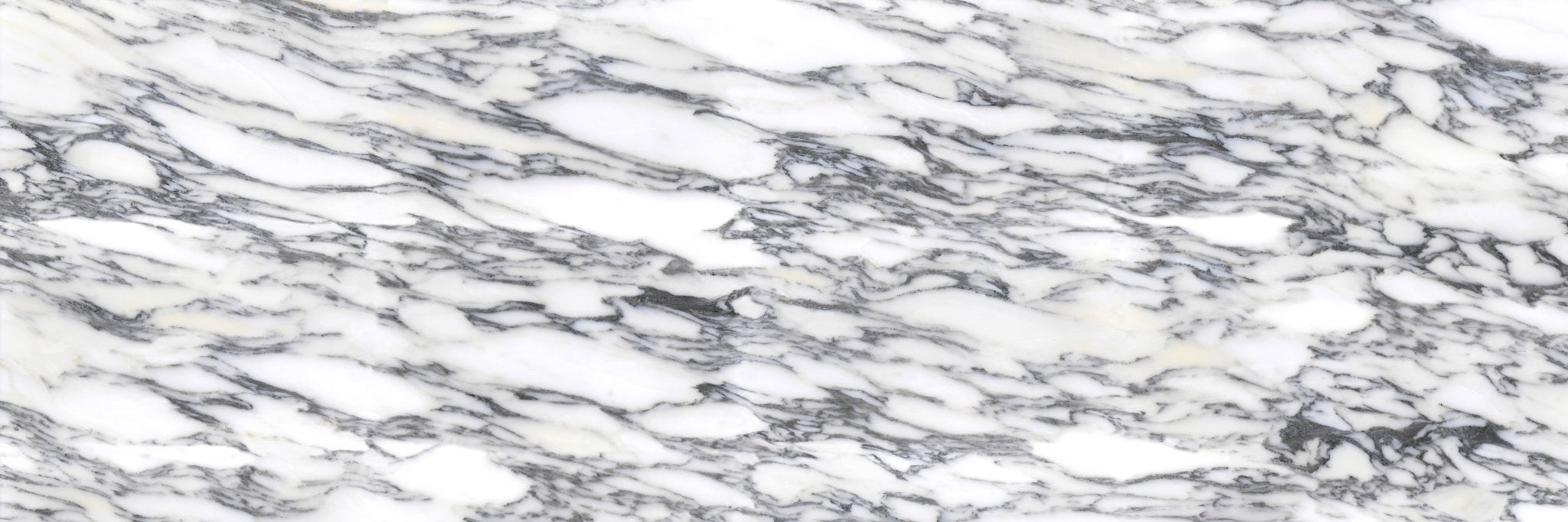 Arabescato Corchia - High Resolution Natural Stone Images