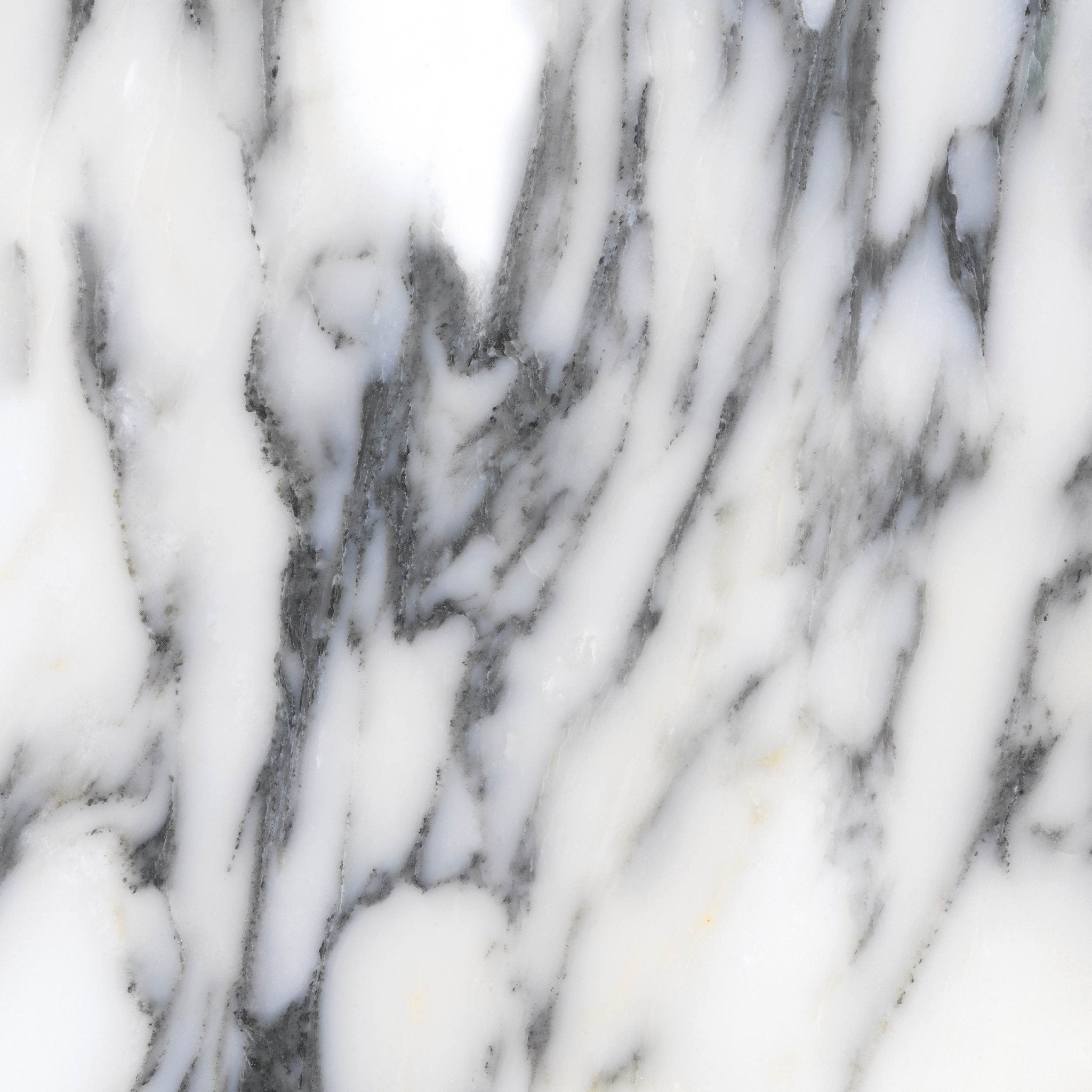 Arabescato Corchia - High Resolution Natural Stone Images