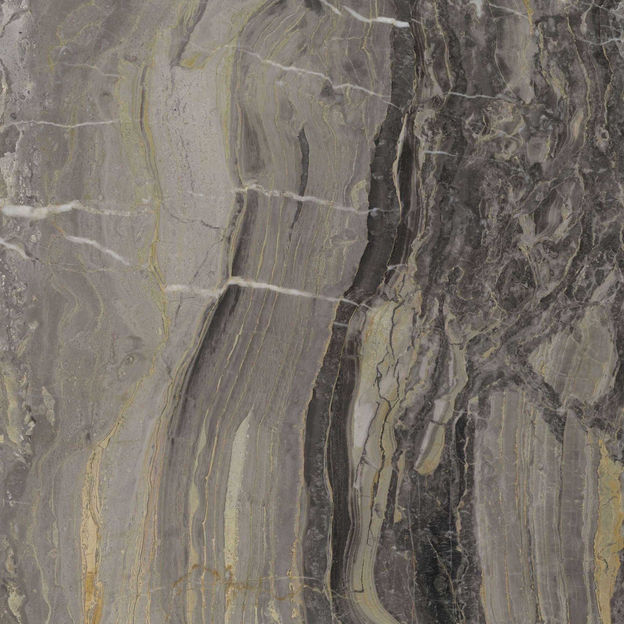 Arabescato Orobico - High Resolution Natural Stone Images