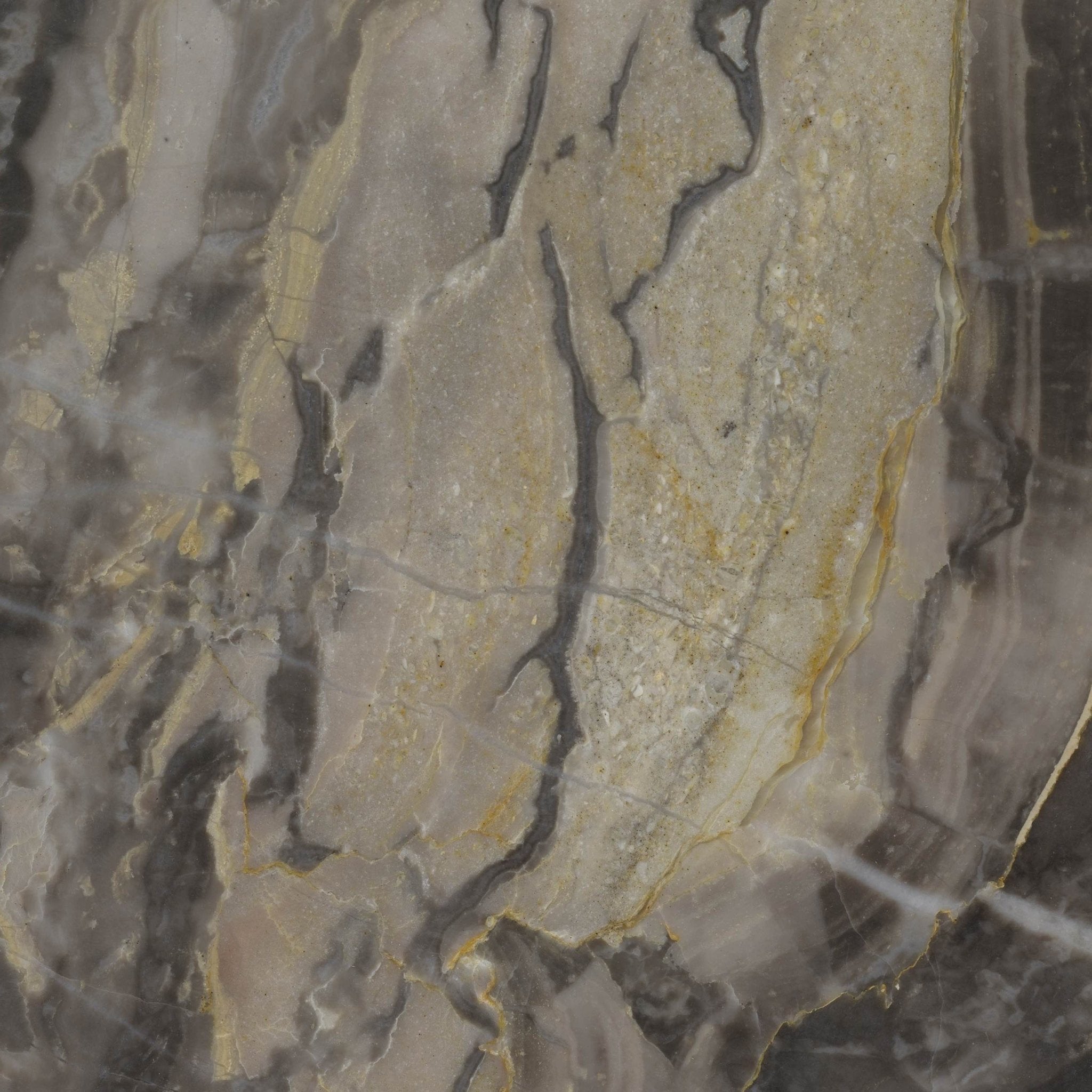 Arabescato Orobico - High Resolution Natural Stone Images