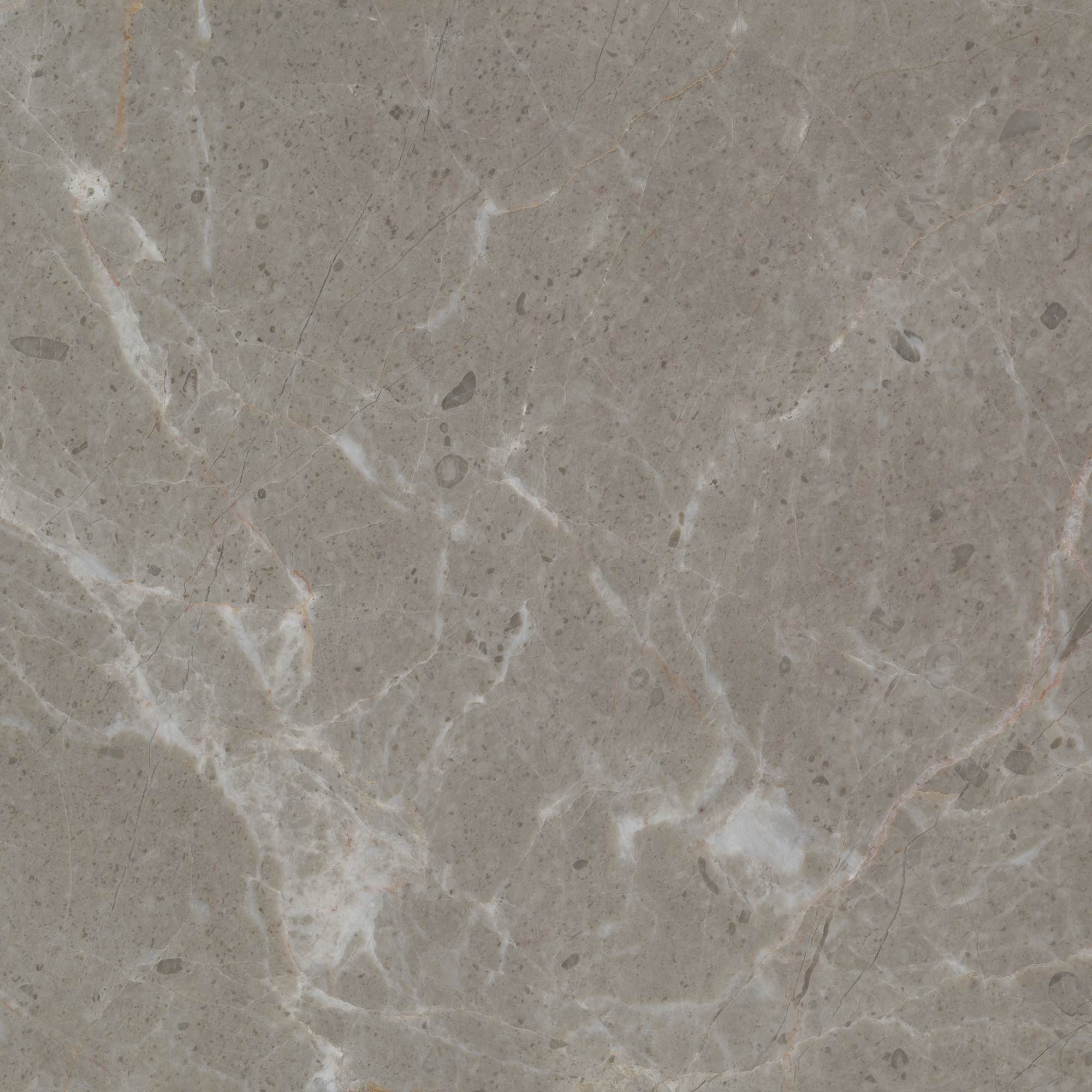 Arana - High Resolution Natural Stone Images