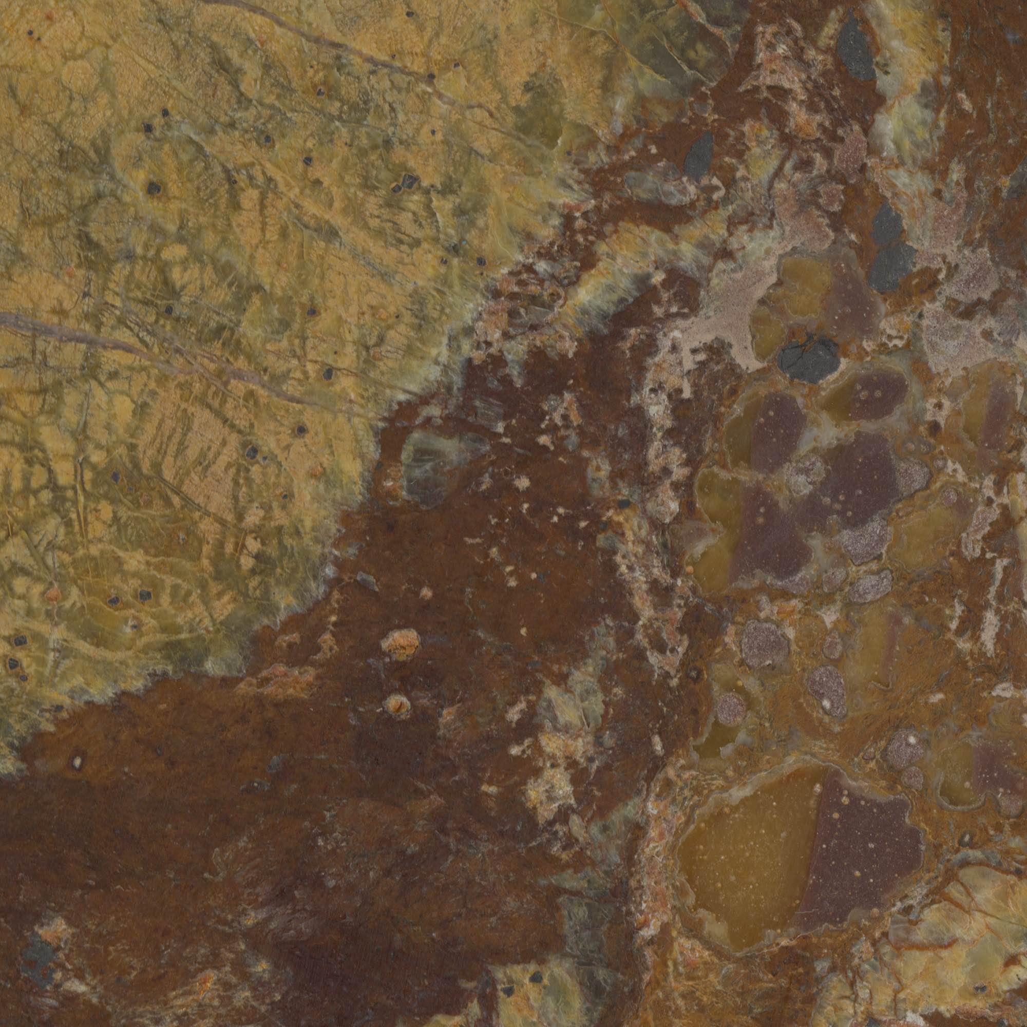 Asnago - High Resolution Natural Stone Images