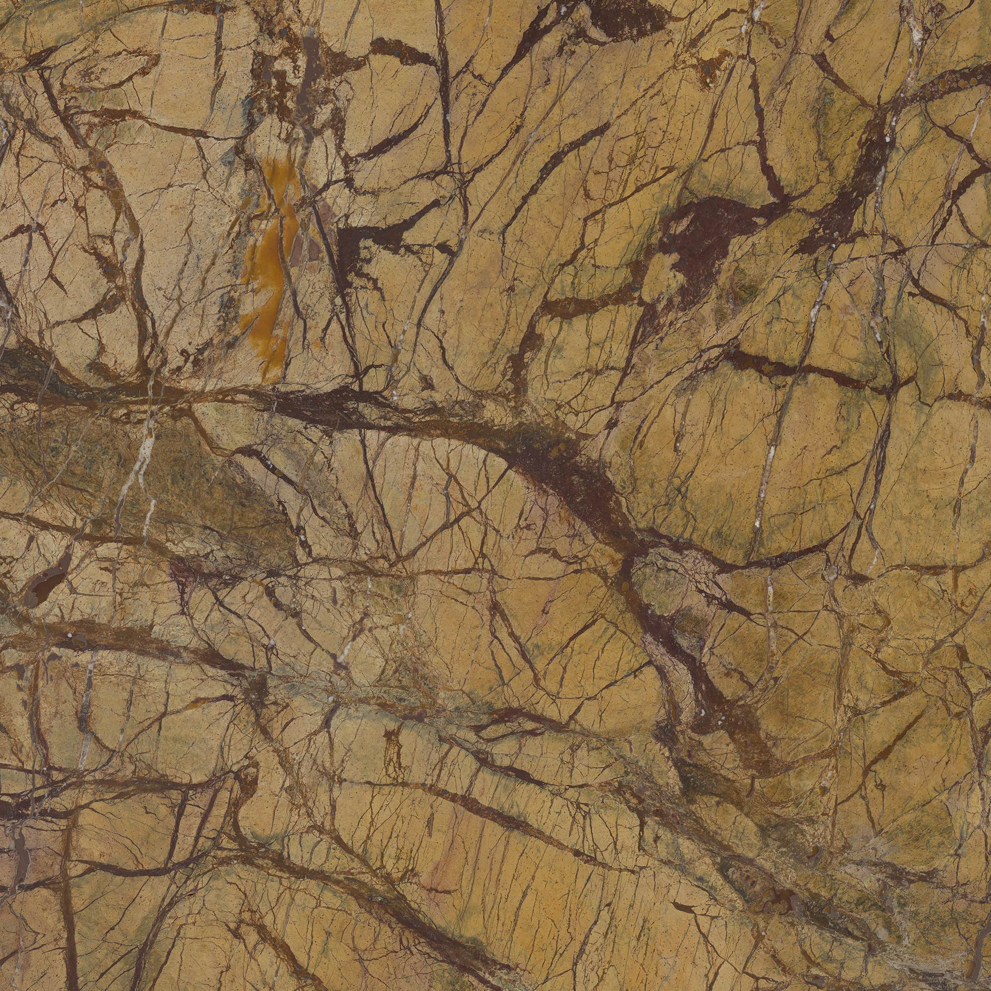 Asnago - High Resolution Natural Stone Images