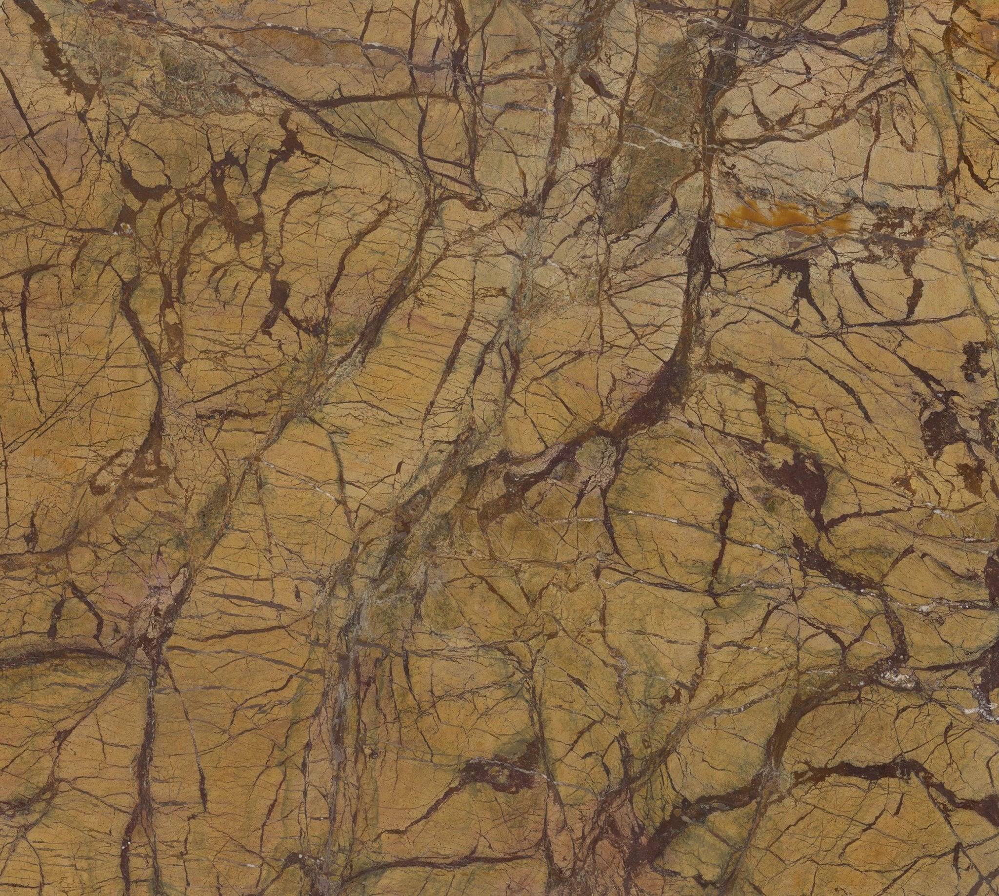 Asnago - High Resolution Natural Stone Images