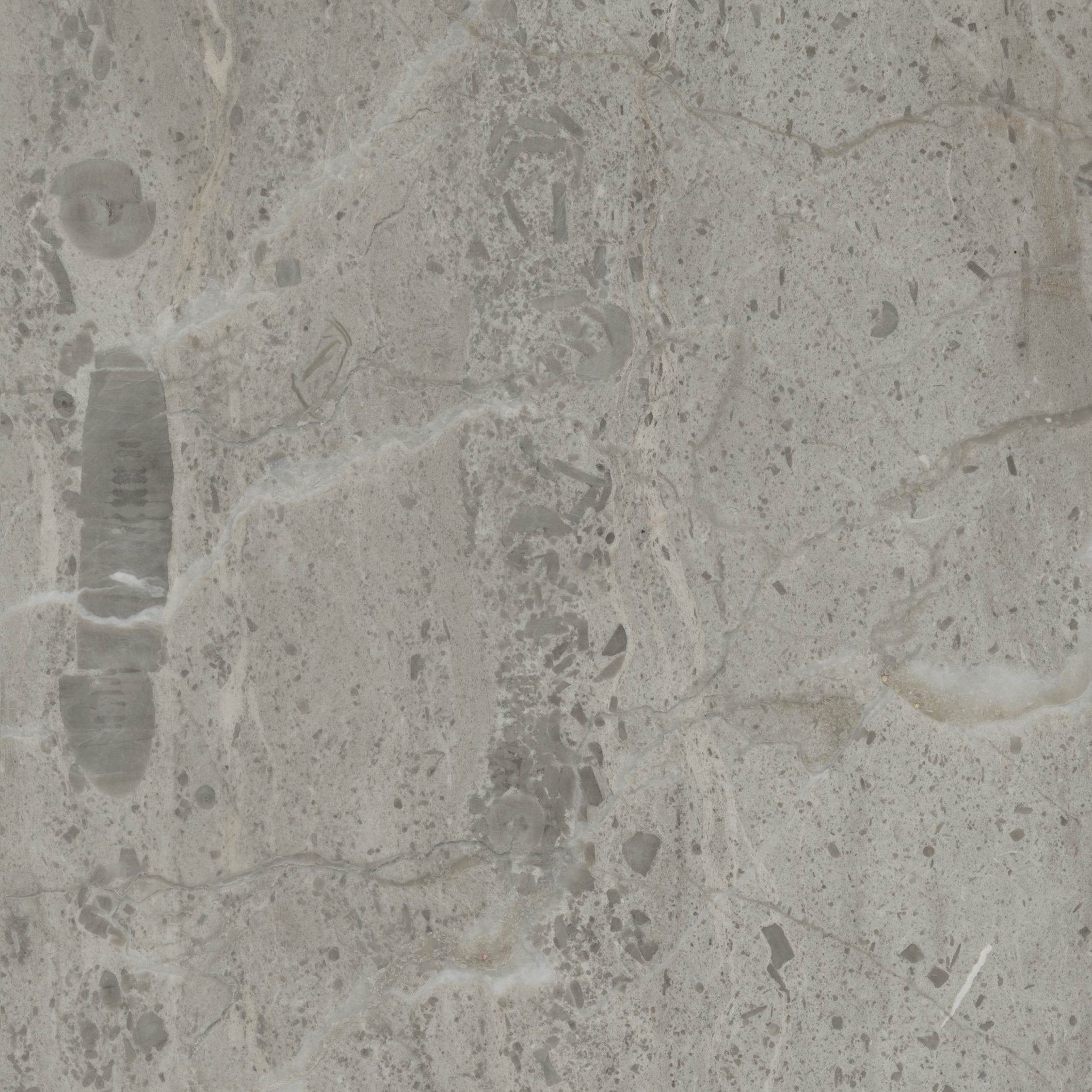 Assinis - High Resolution Natural Stone Images