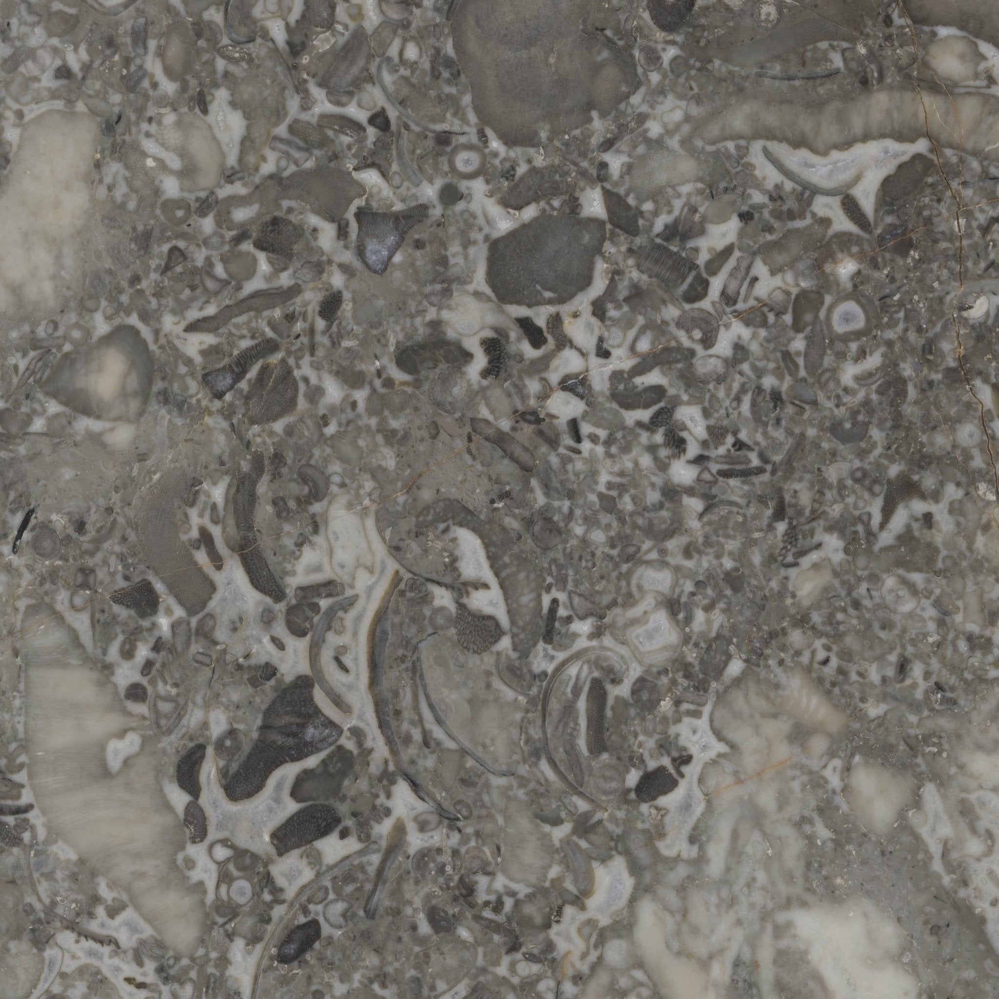 Avorios - High Resolution Natural Stone Images