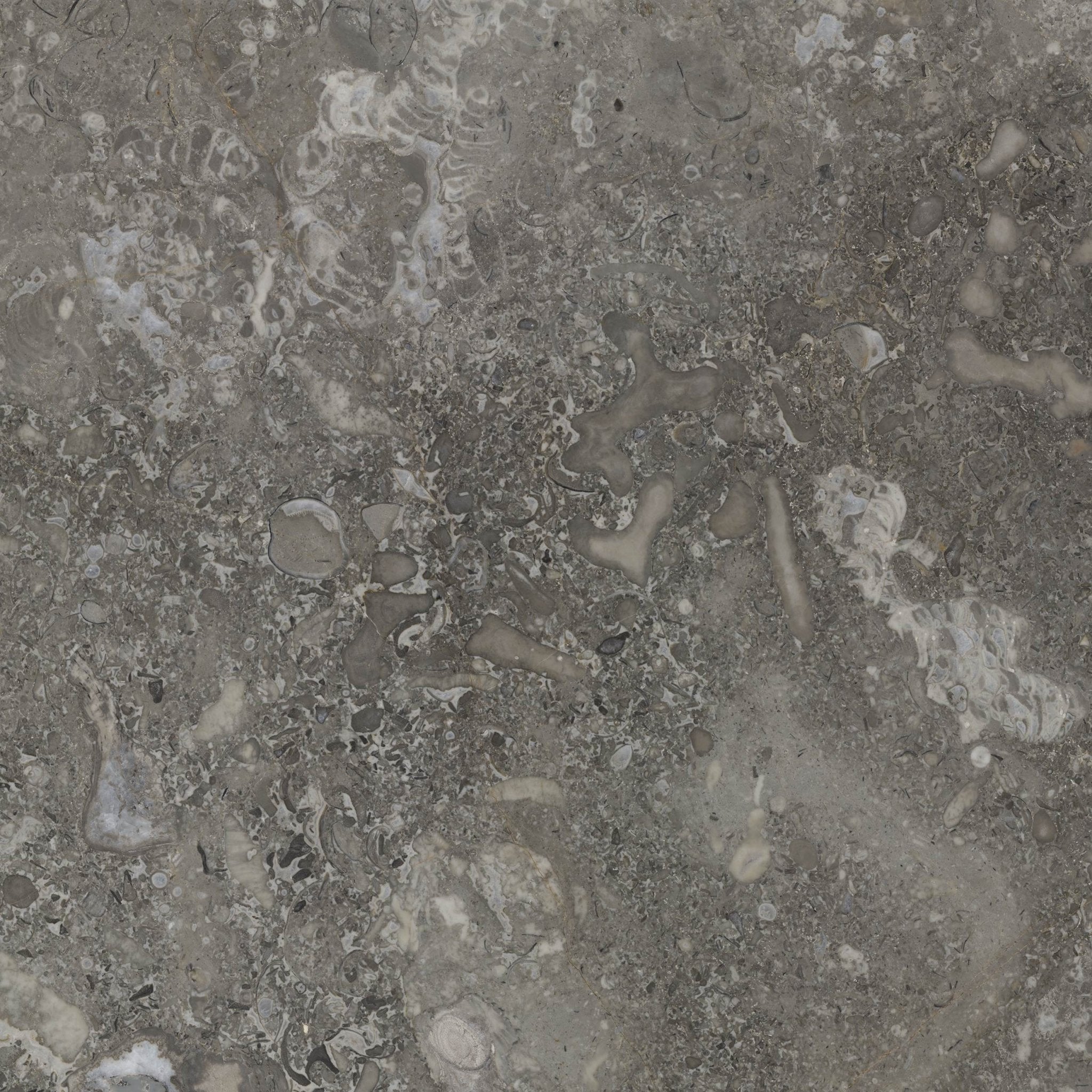 Avorios - High Resolution Natural Stone Images