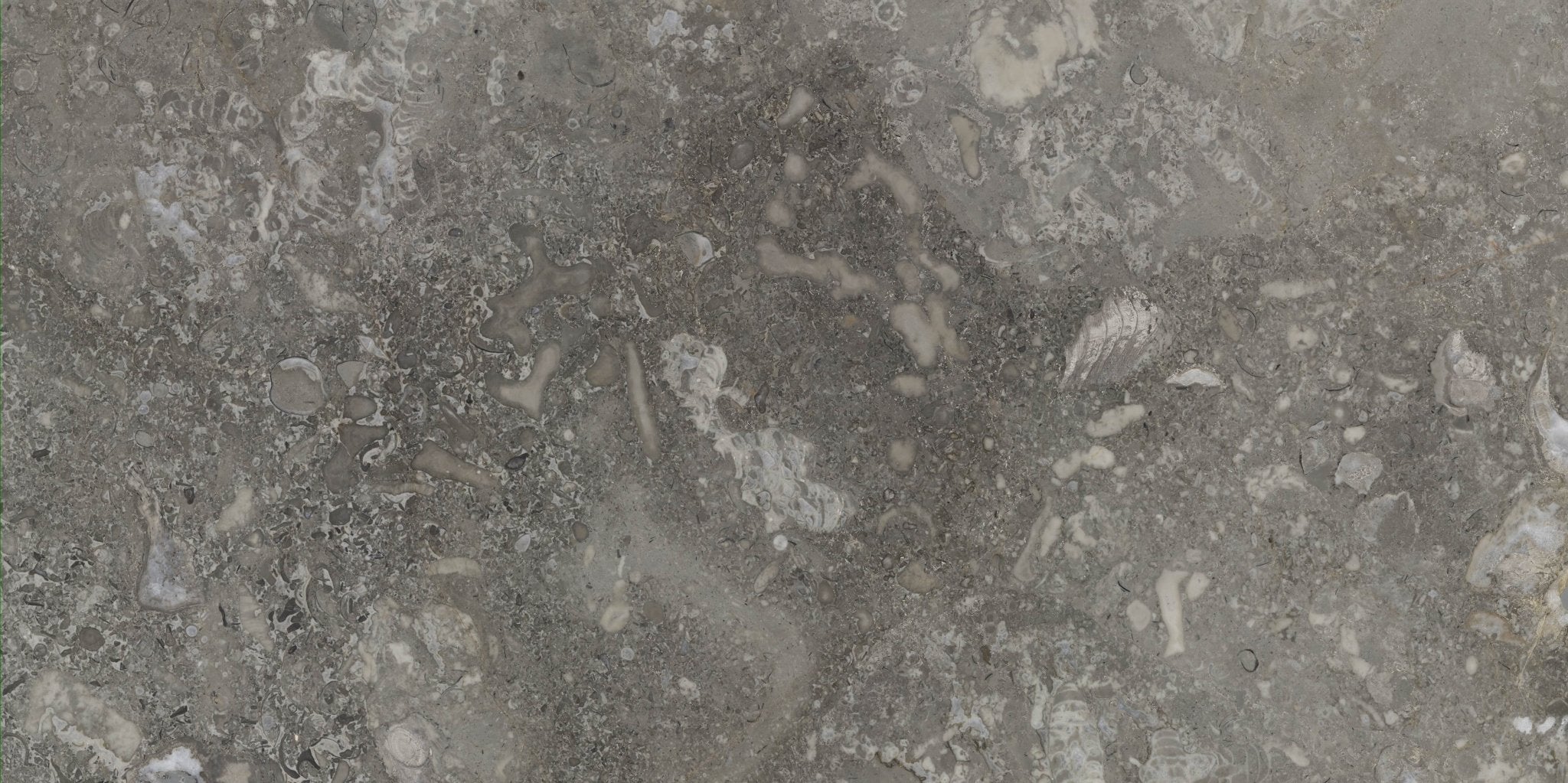 Avorios - High Resolution Natural Stone Images