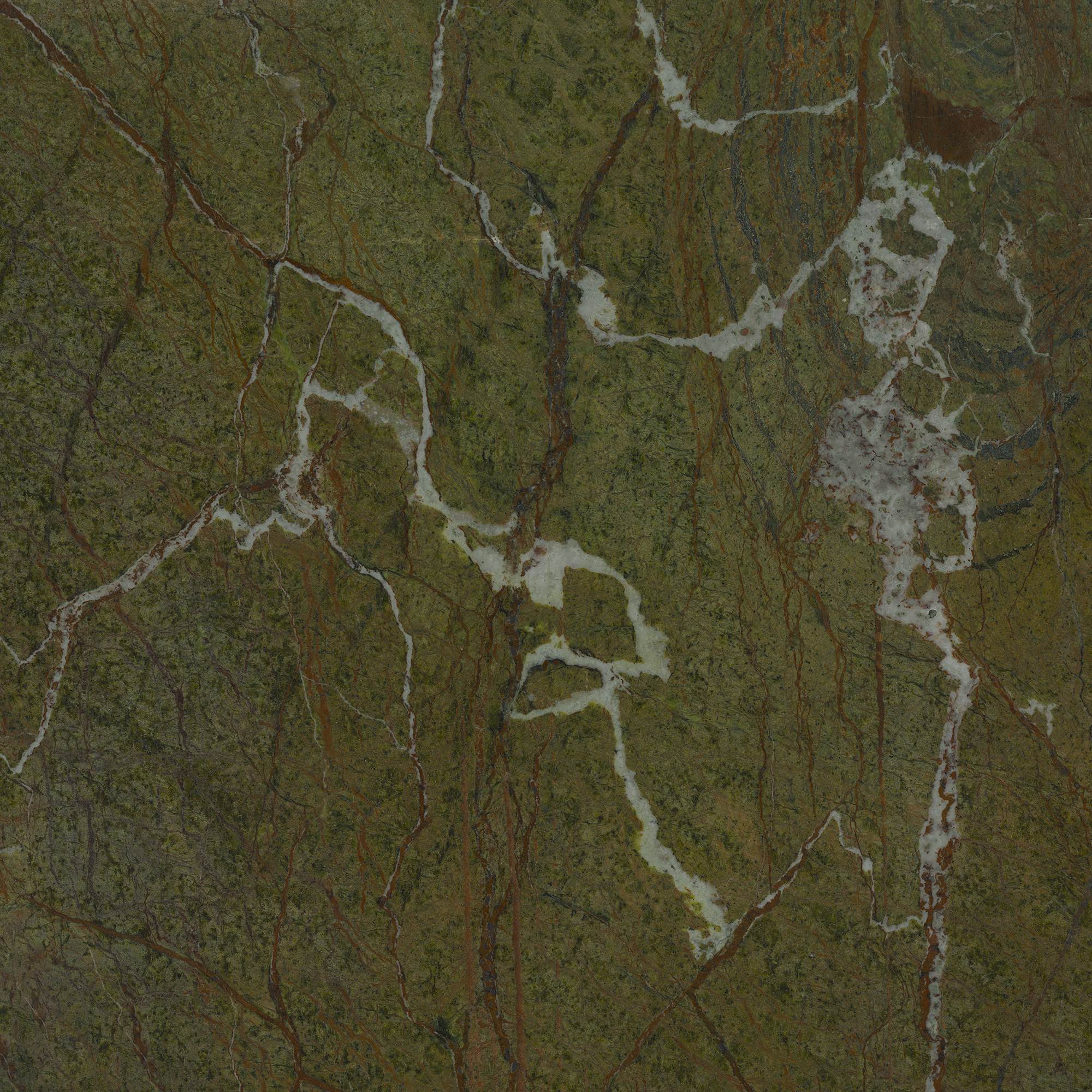 Bosque - High Resolution Natural Stone Images