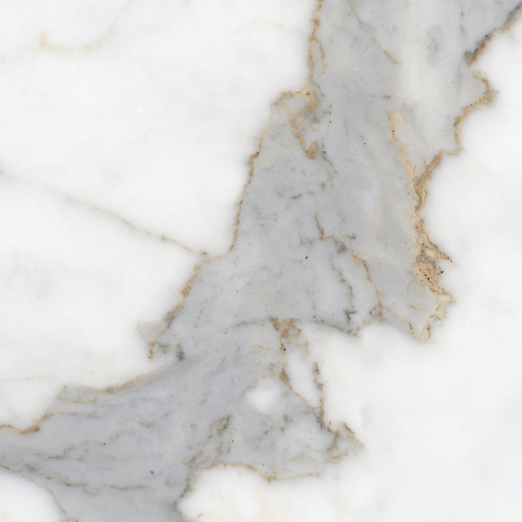 Calacata Oro - High Resolution Natural Stone Images