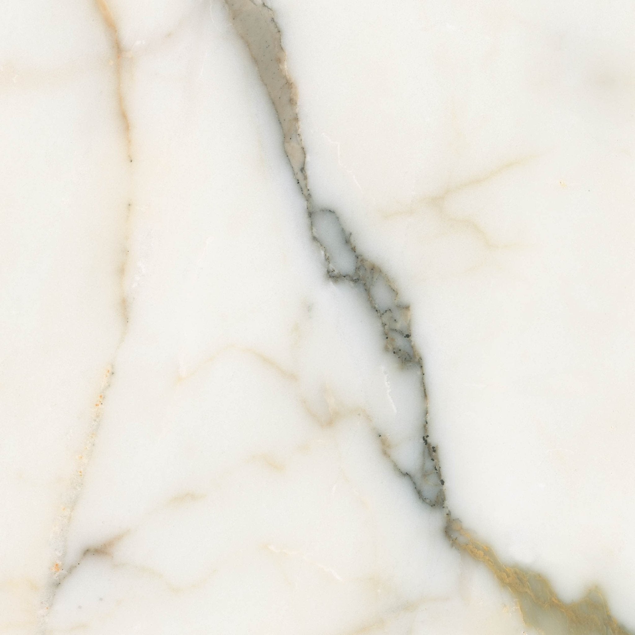 Calacatta Macchia - High Resolution Natural Stone Images