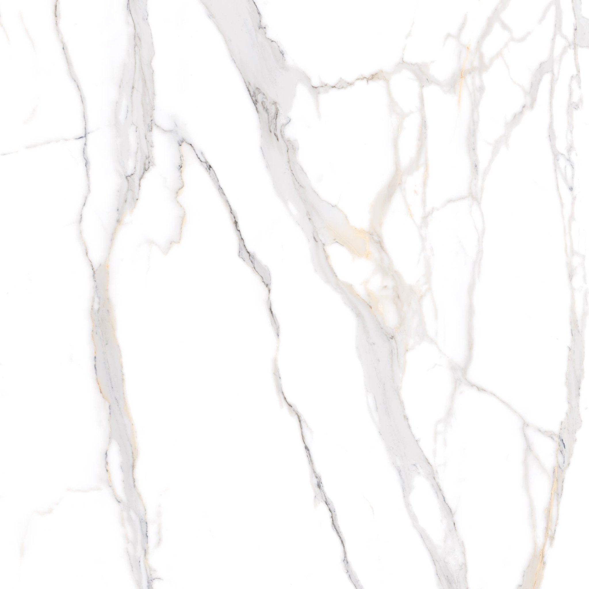 Calacatta Nobile - High Resolution Natural Stone Images