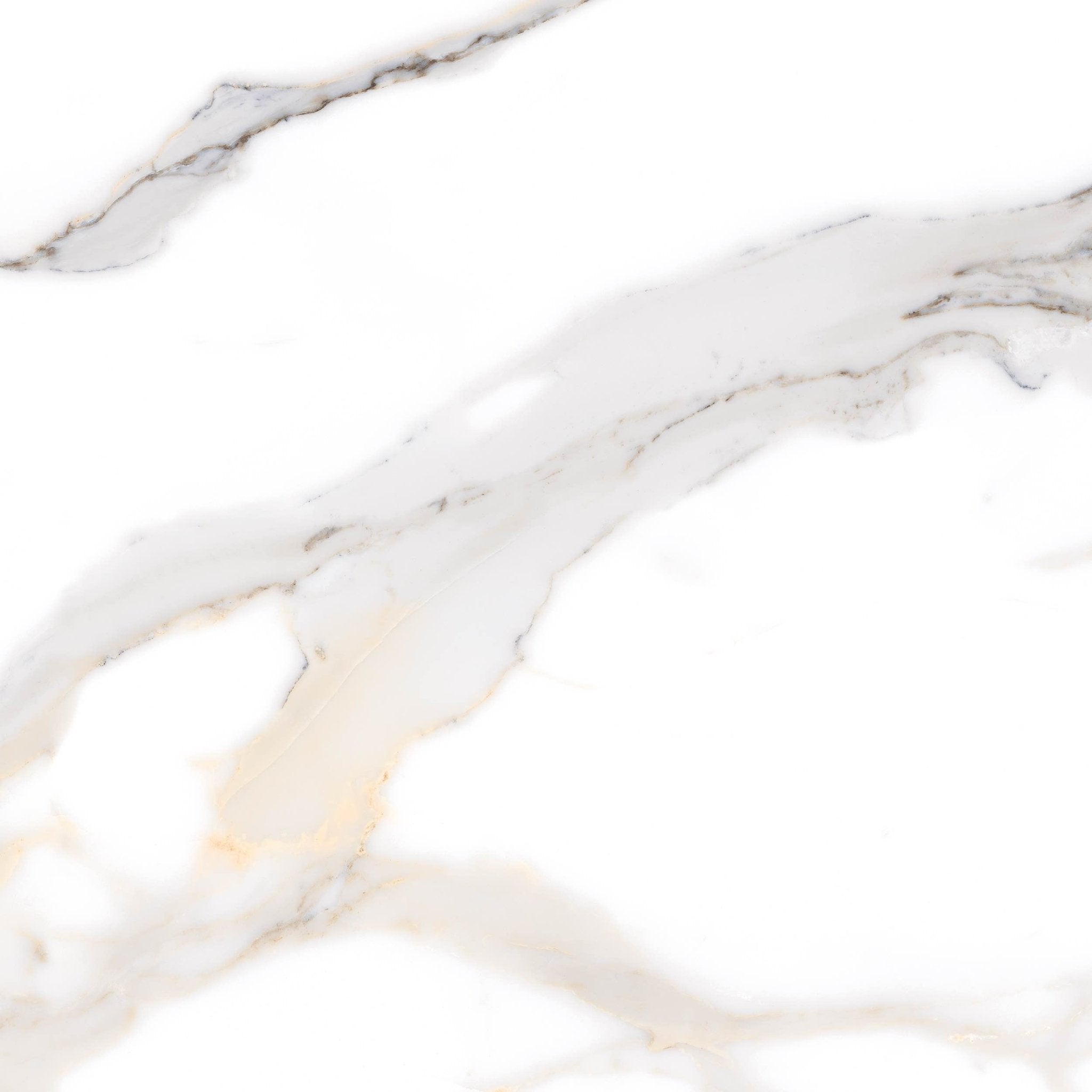 Calacatta Nobile - High Resolution Natural Stone Images