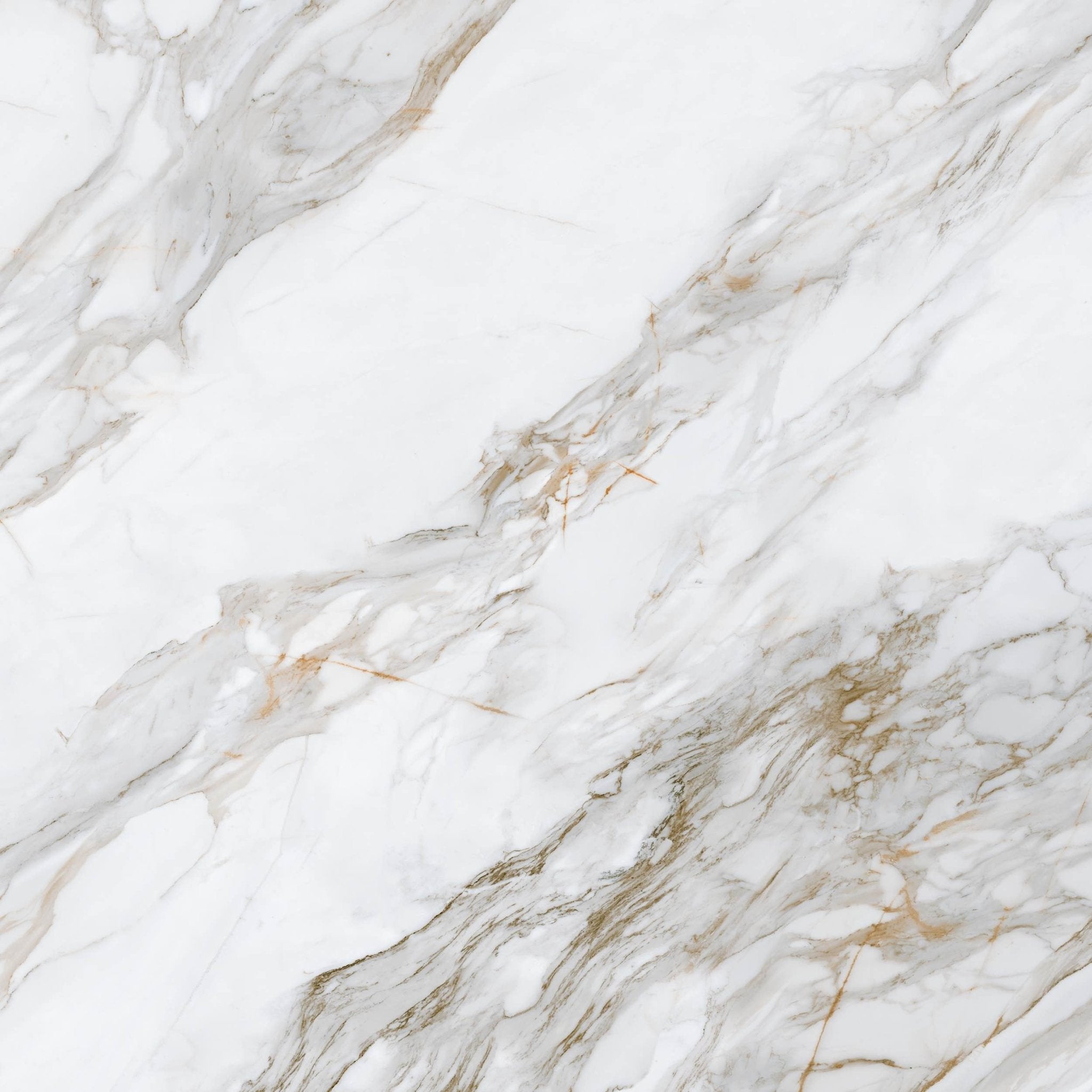 Calacatta Paonazzo - High Resolution Natural Stone Images