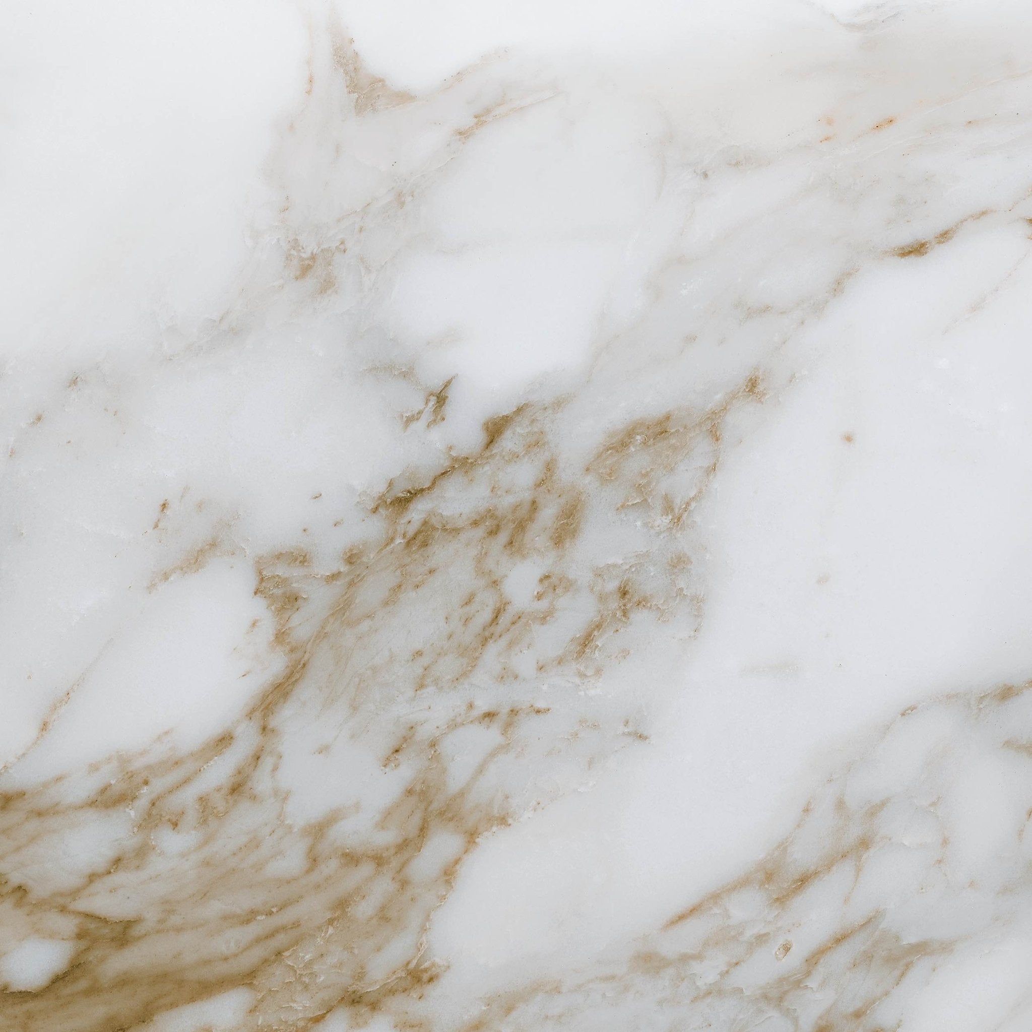 Calacatta Paonazzo - High Resolution Natural Stone Images