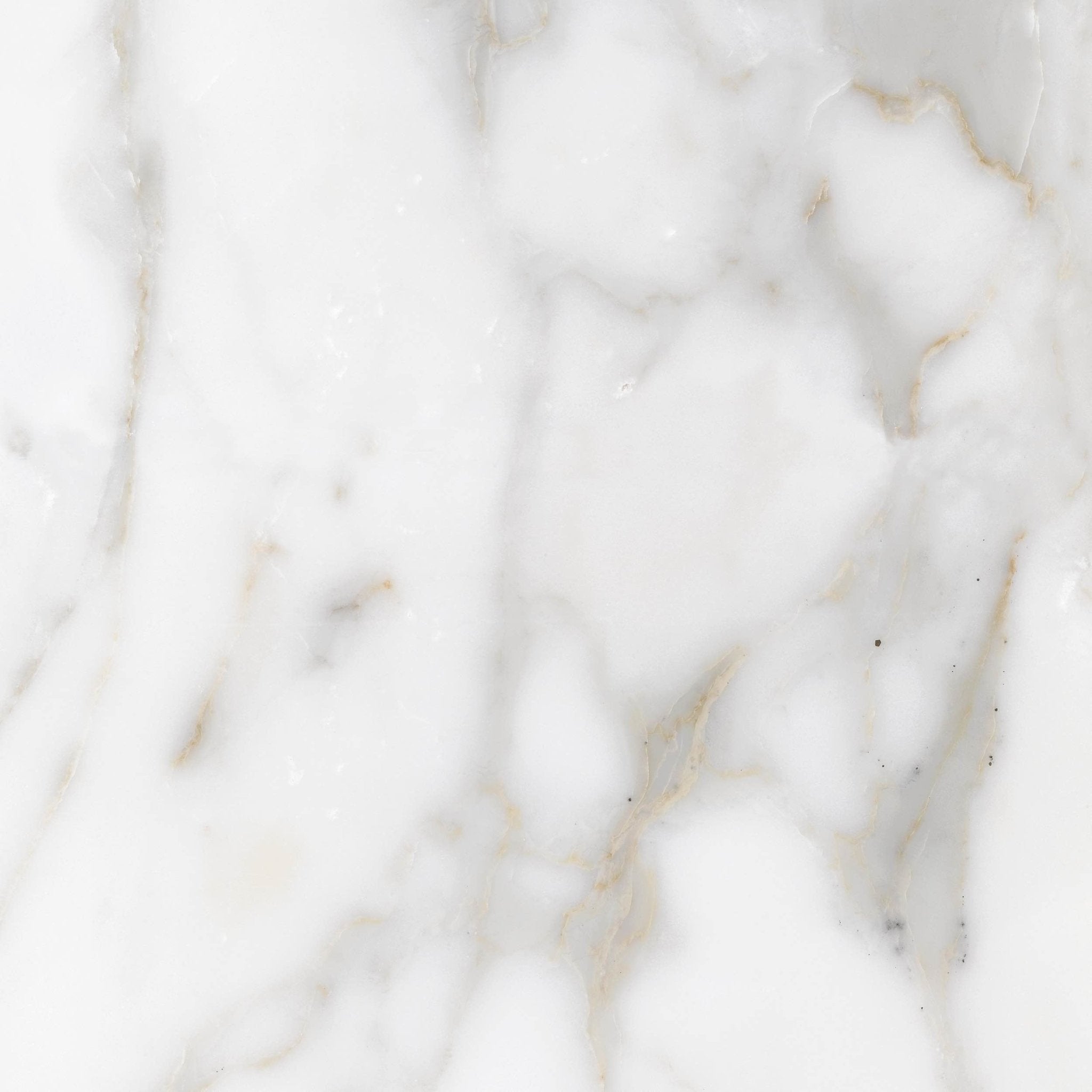 Calcatta Troy - High Resolution Natural Stone Images