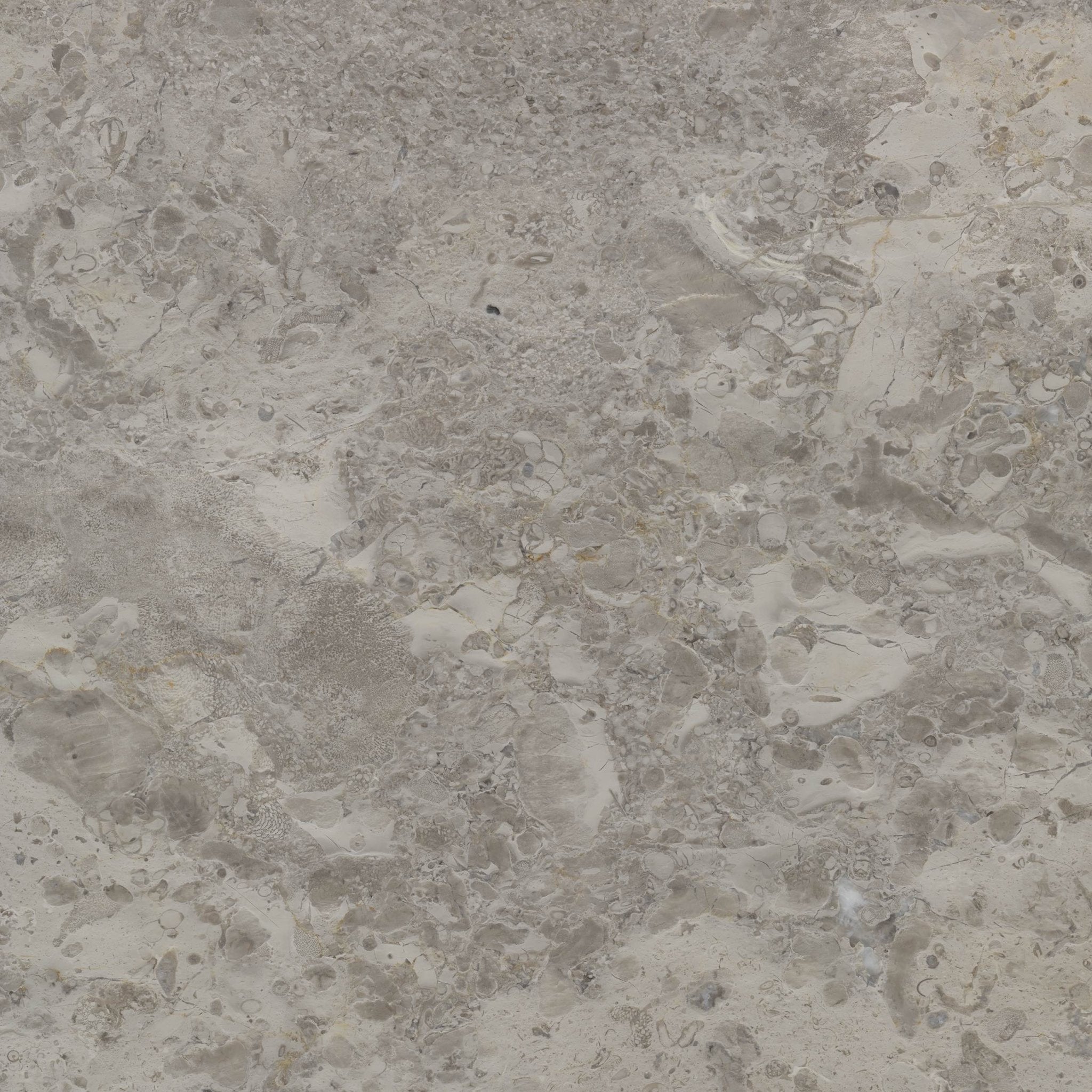 Caliza - High Resolution Natural Stone Images