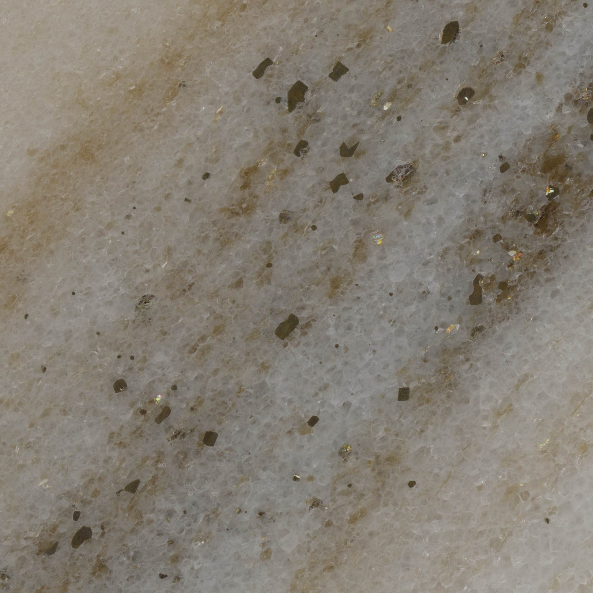 Dedalus - High Resolution Natural Stone Images