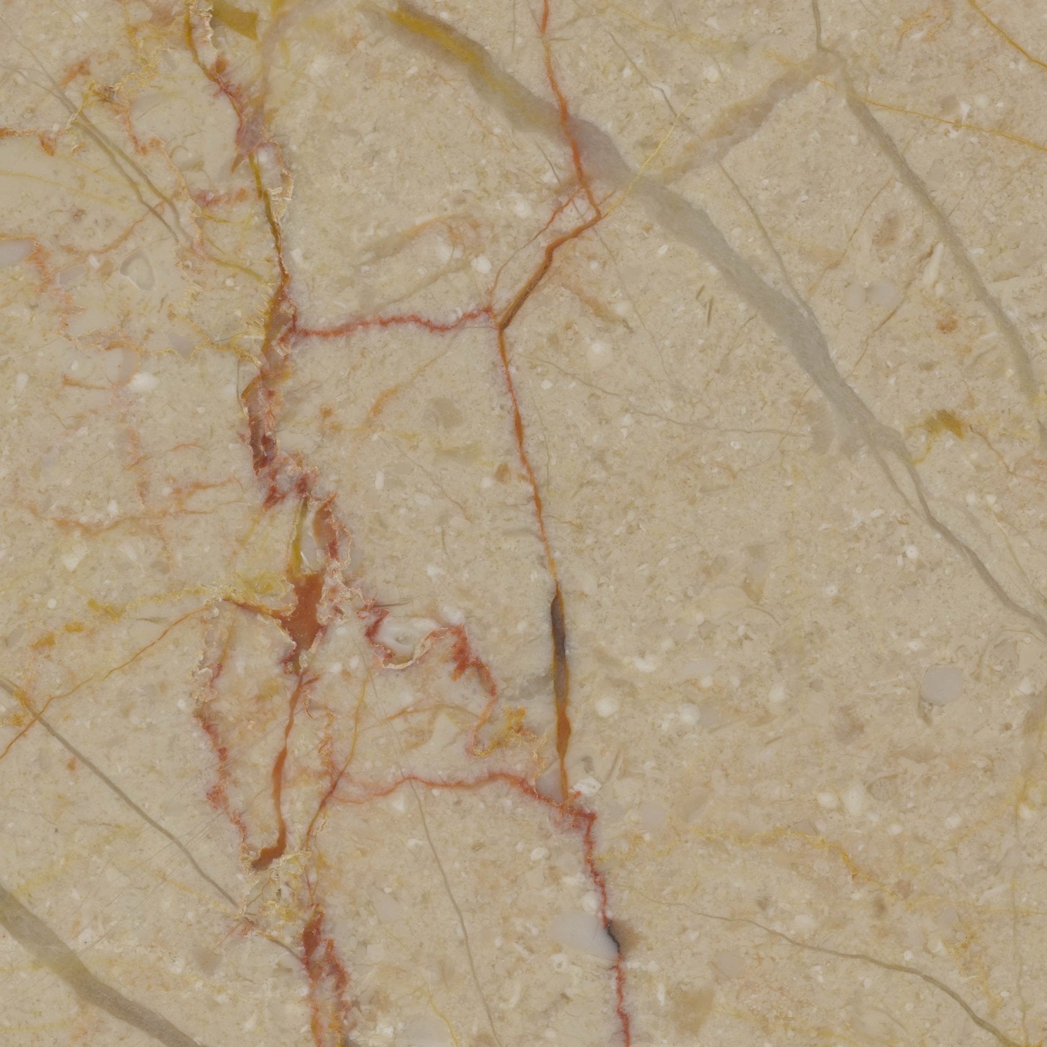 Dorado - High Resolution Natural Stone Images