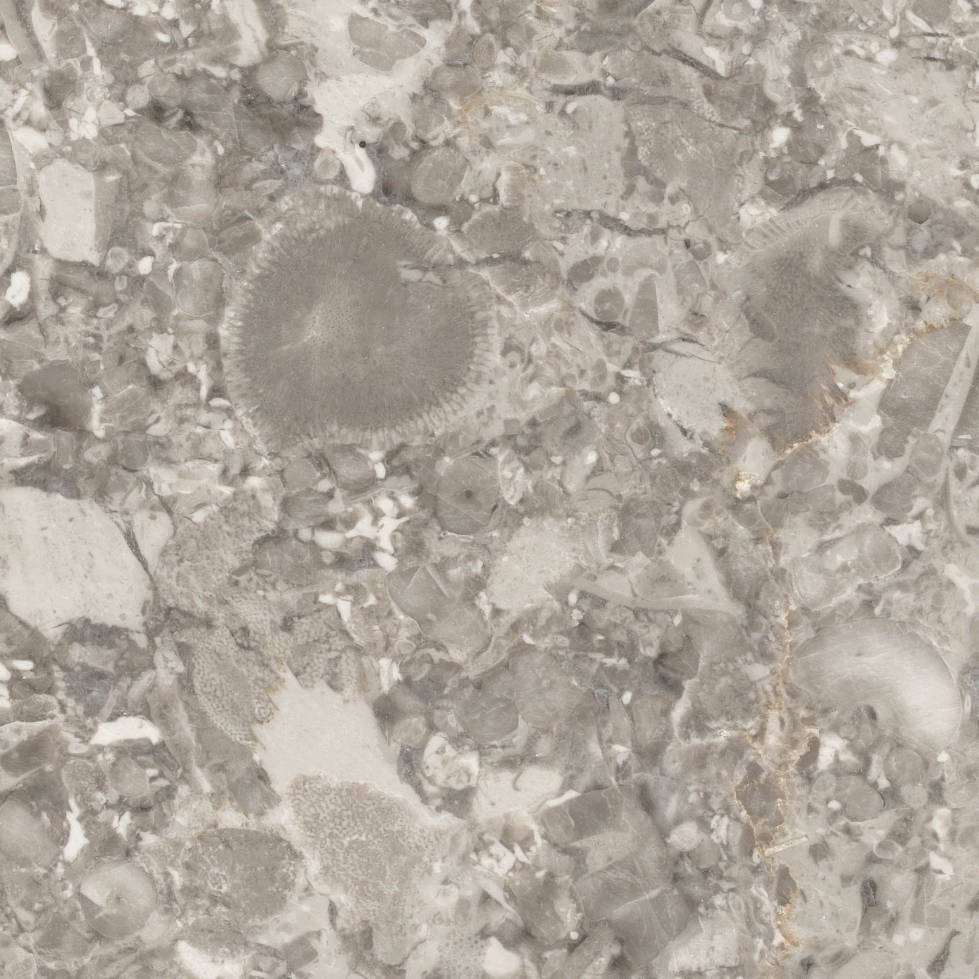 Forbo - High Resolution Natural Stone Images