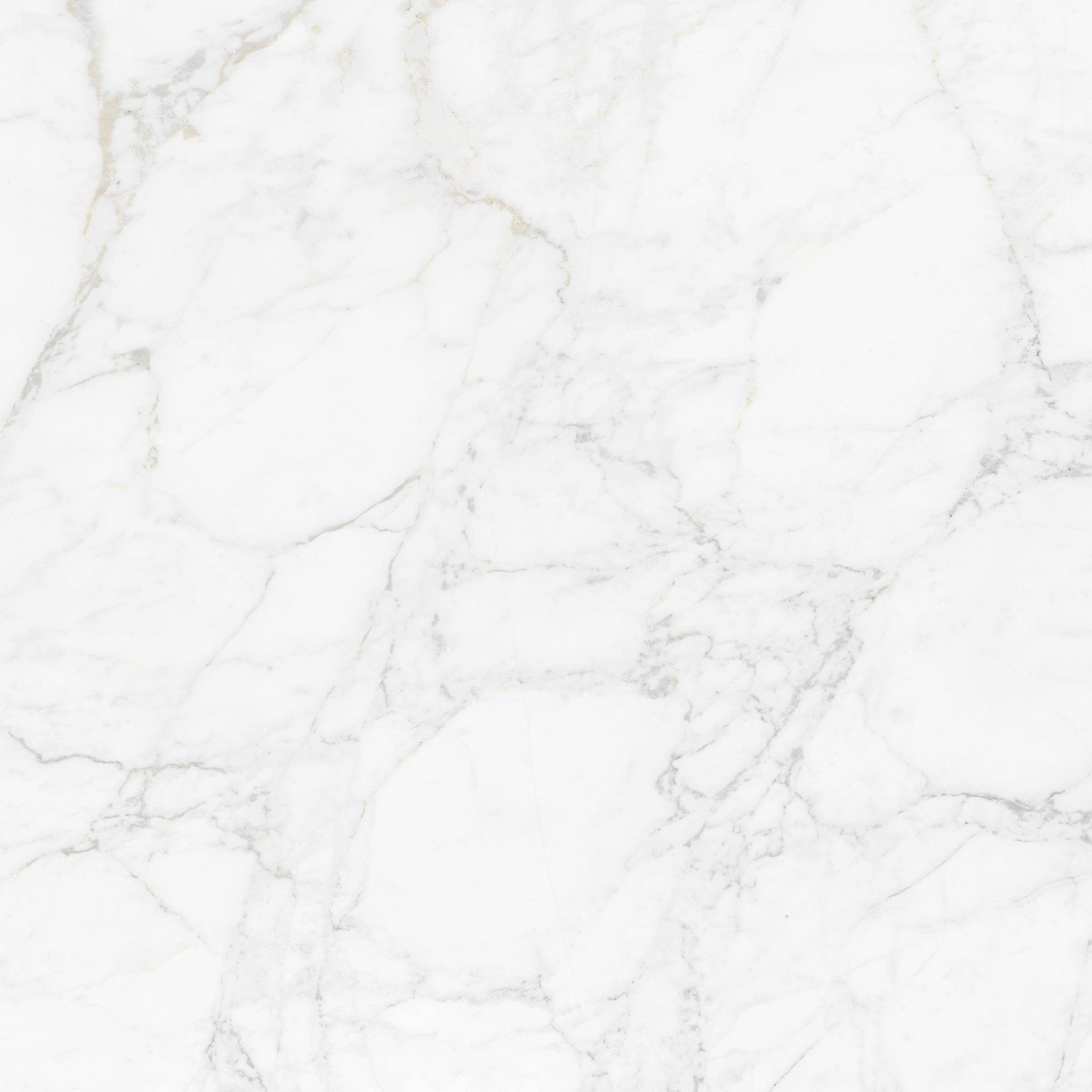 Lucca Bianco - High Resolution Natural Stone Images