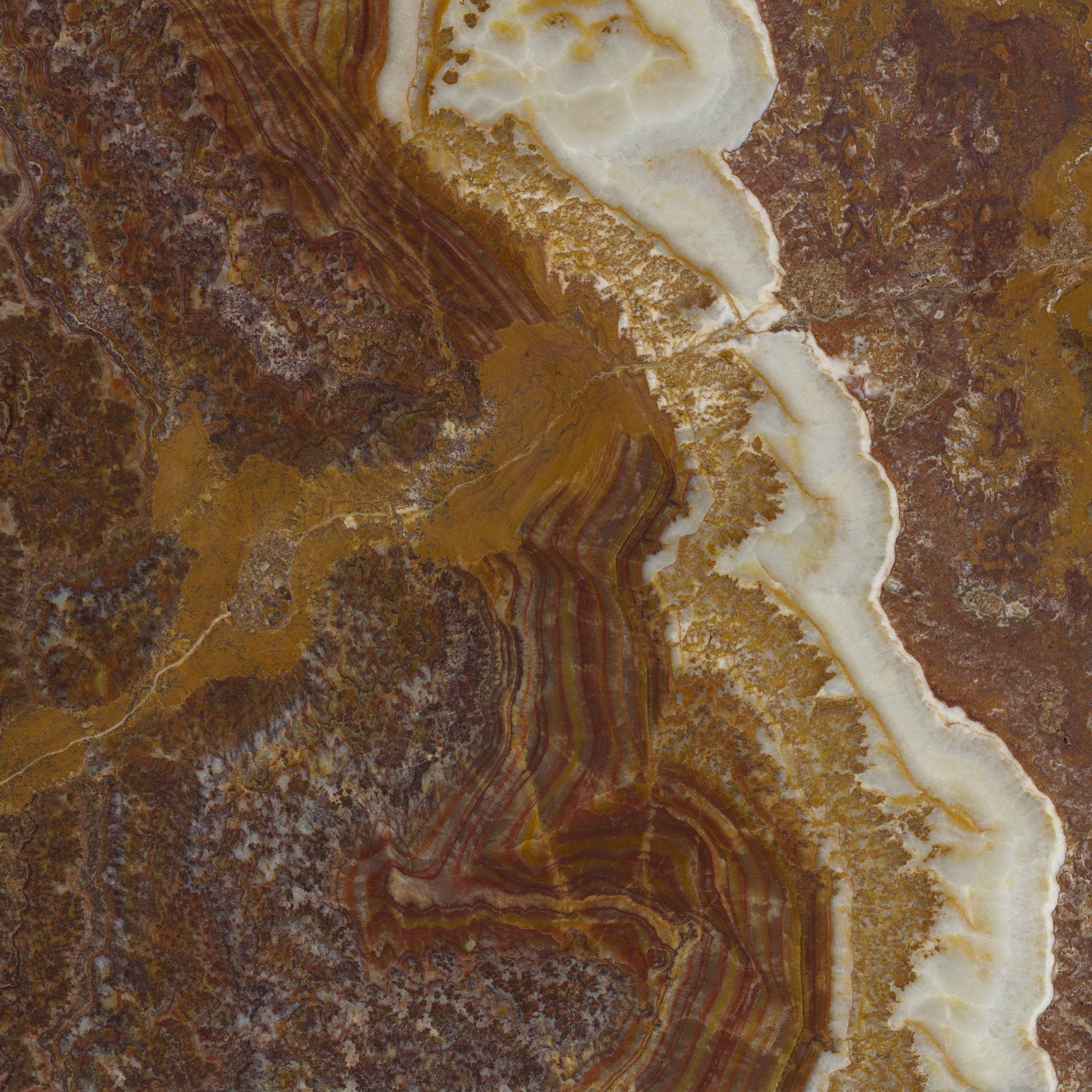 Miele Nuvolato - High Resolution Natural Stone Images