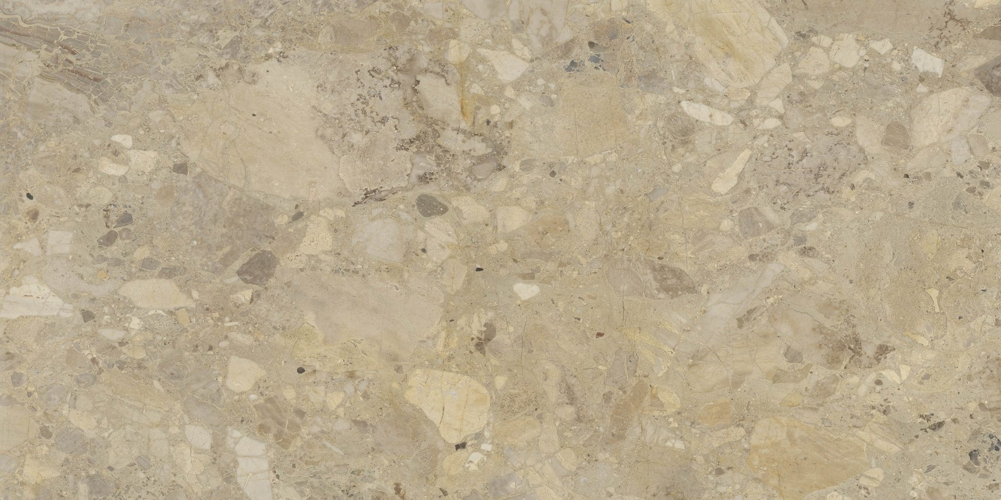 Nettuno - High Resolution Natural Stone Images