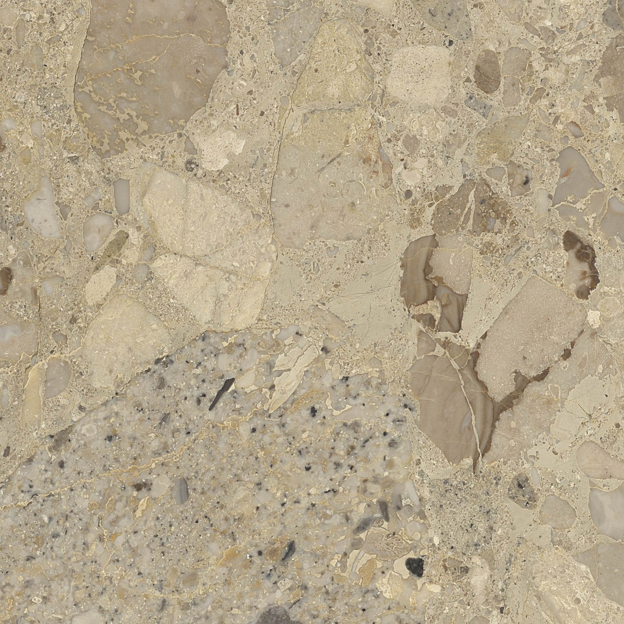 Nettuno - High Resolution Natural Stone Images