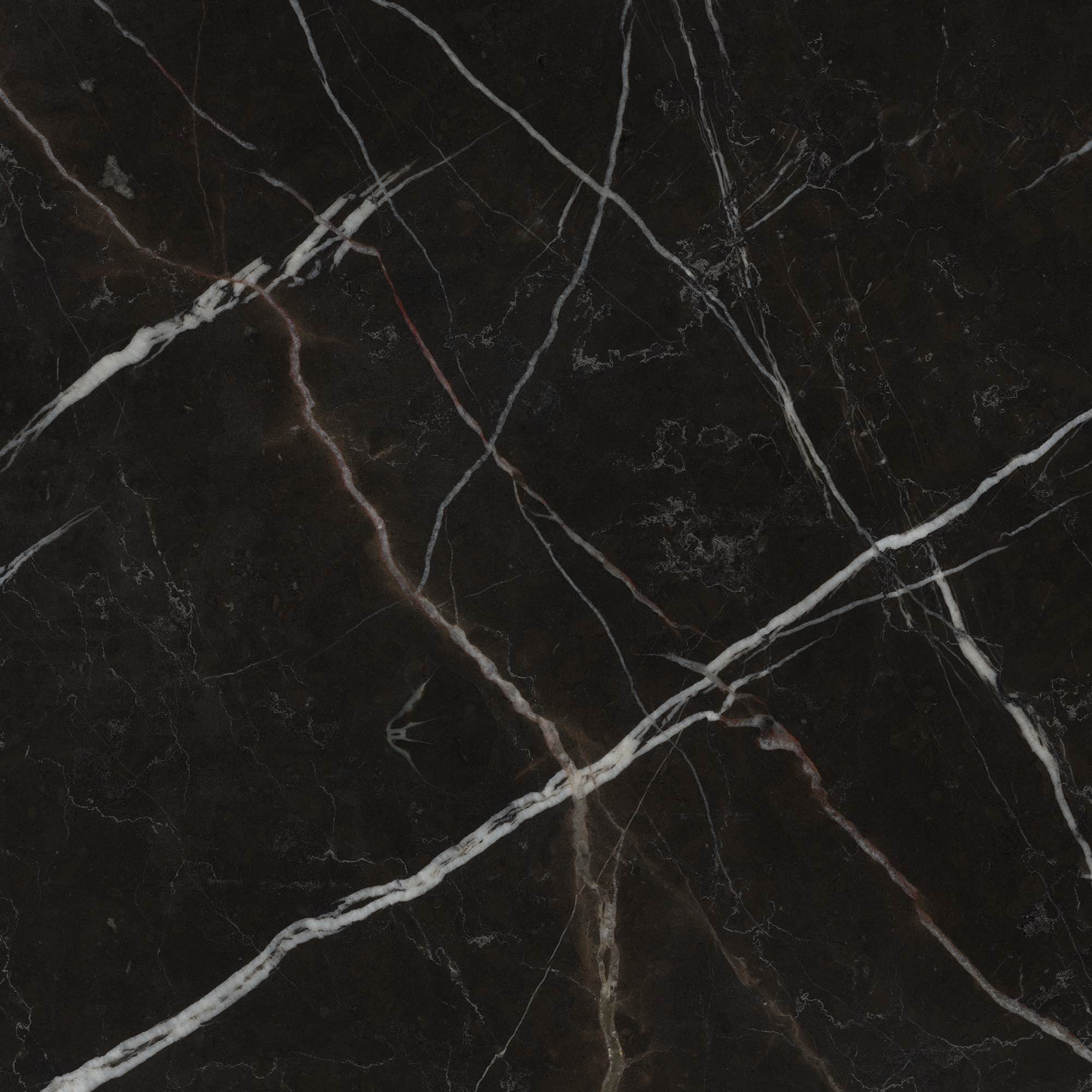 Noir St. Laurent - High Resolution Natural Stone Images