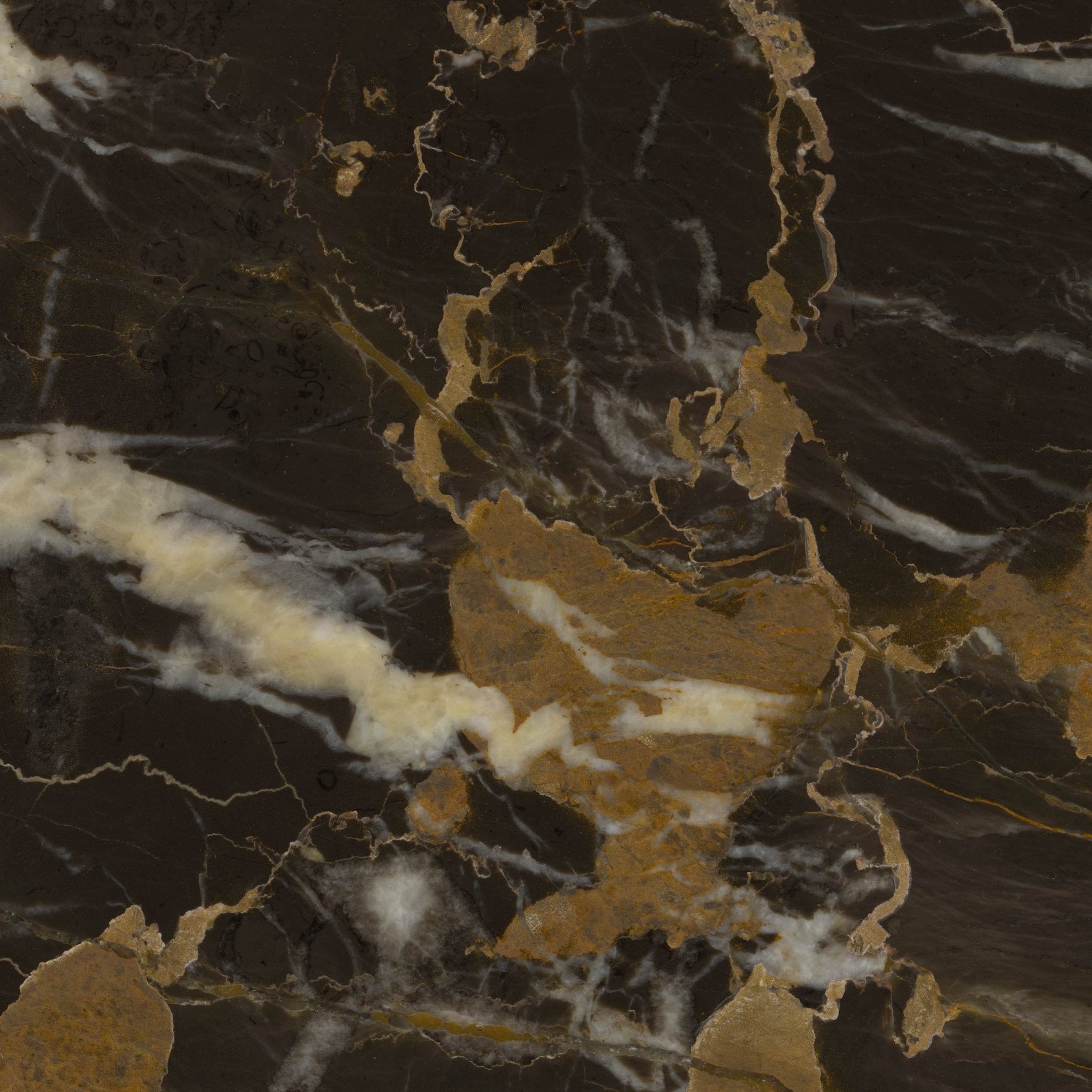 Portoro Gold - High Resolution Natural Stone Images