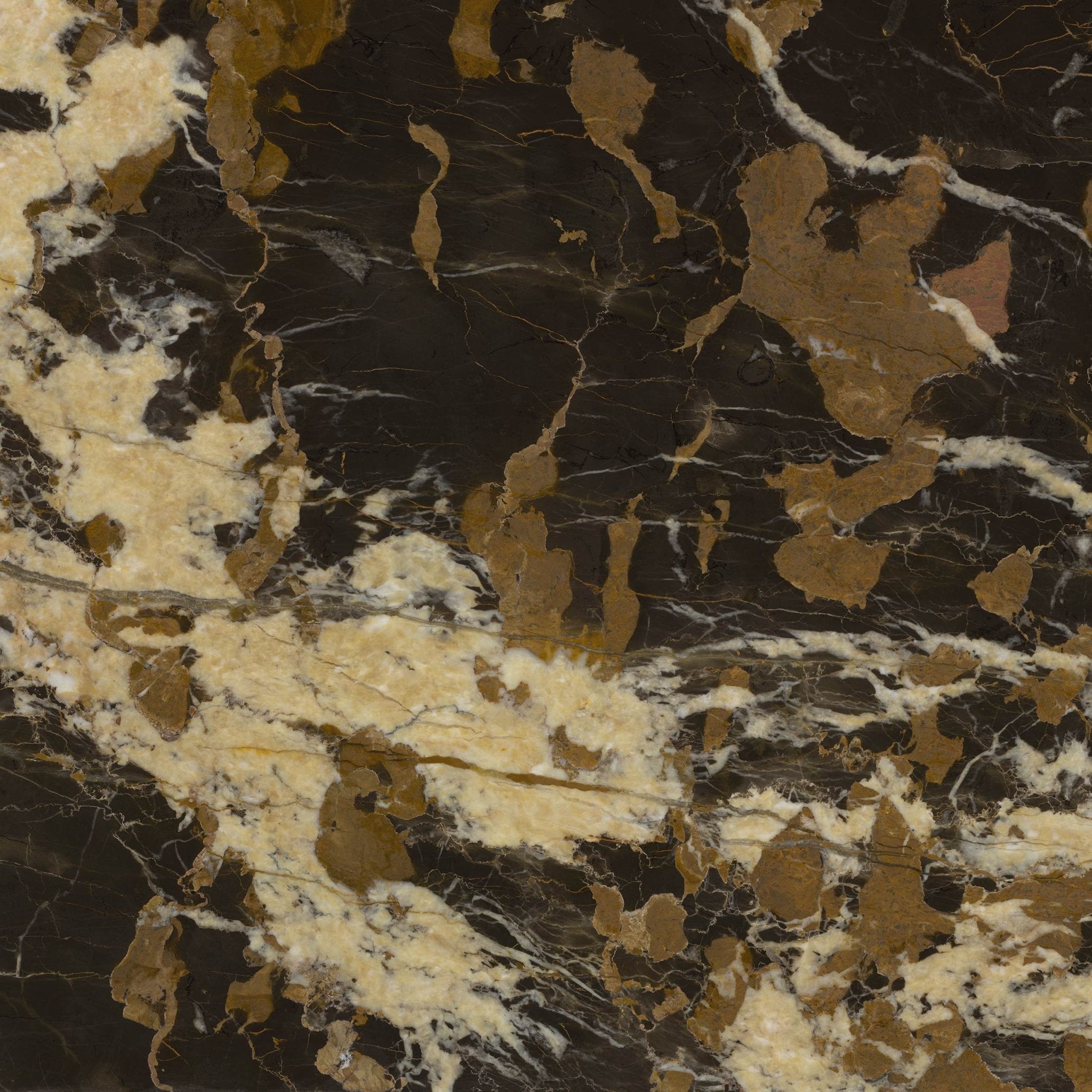 Portoro Gold - High Resolution Natural Stone Images