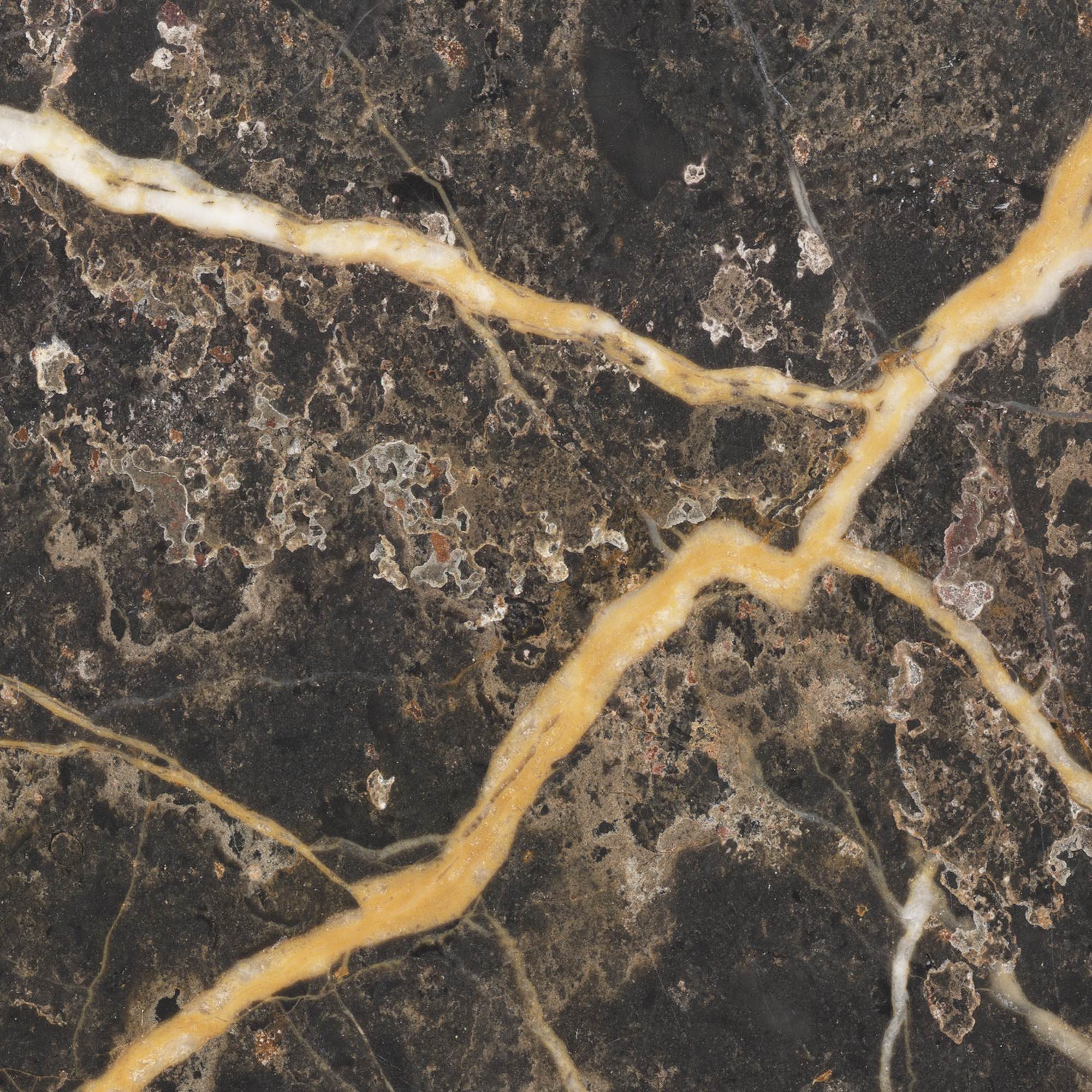 Portoro - High Resolution Natural Stone Images