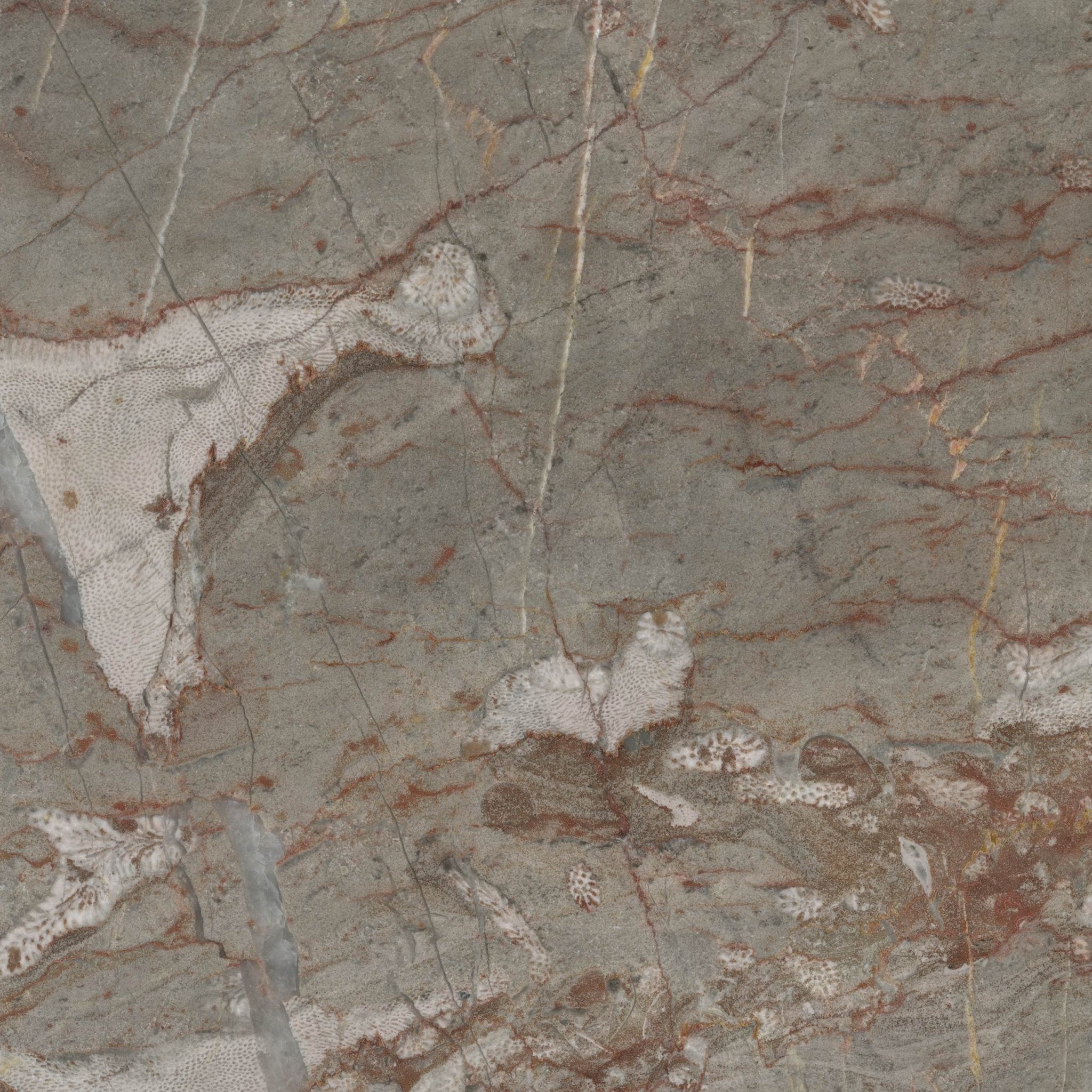 Sardinian - High Resolution Natural Stone Images