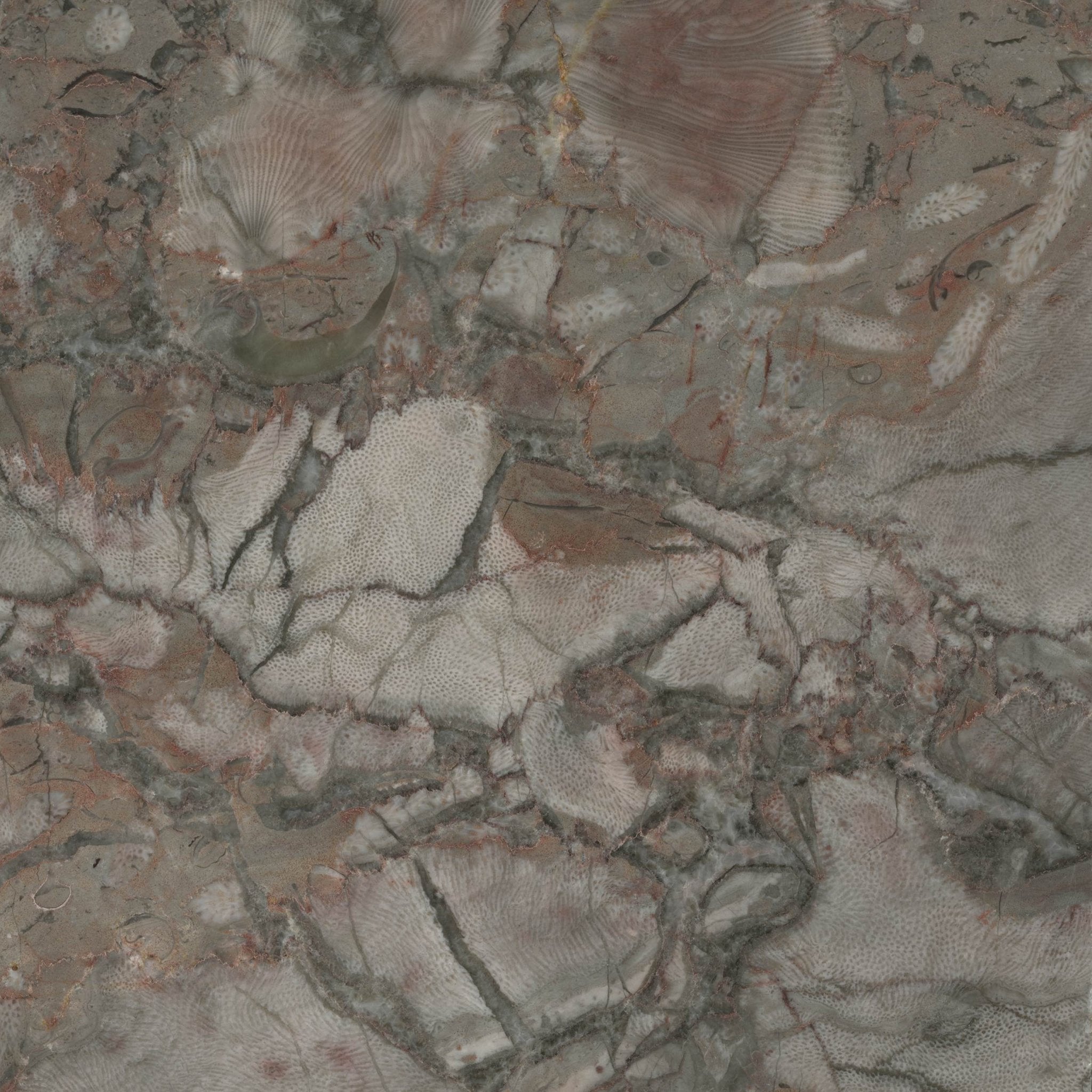 Sardinian - High Resolution Natural Stone Images