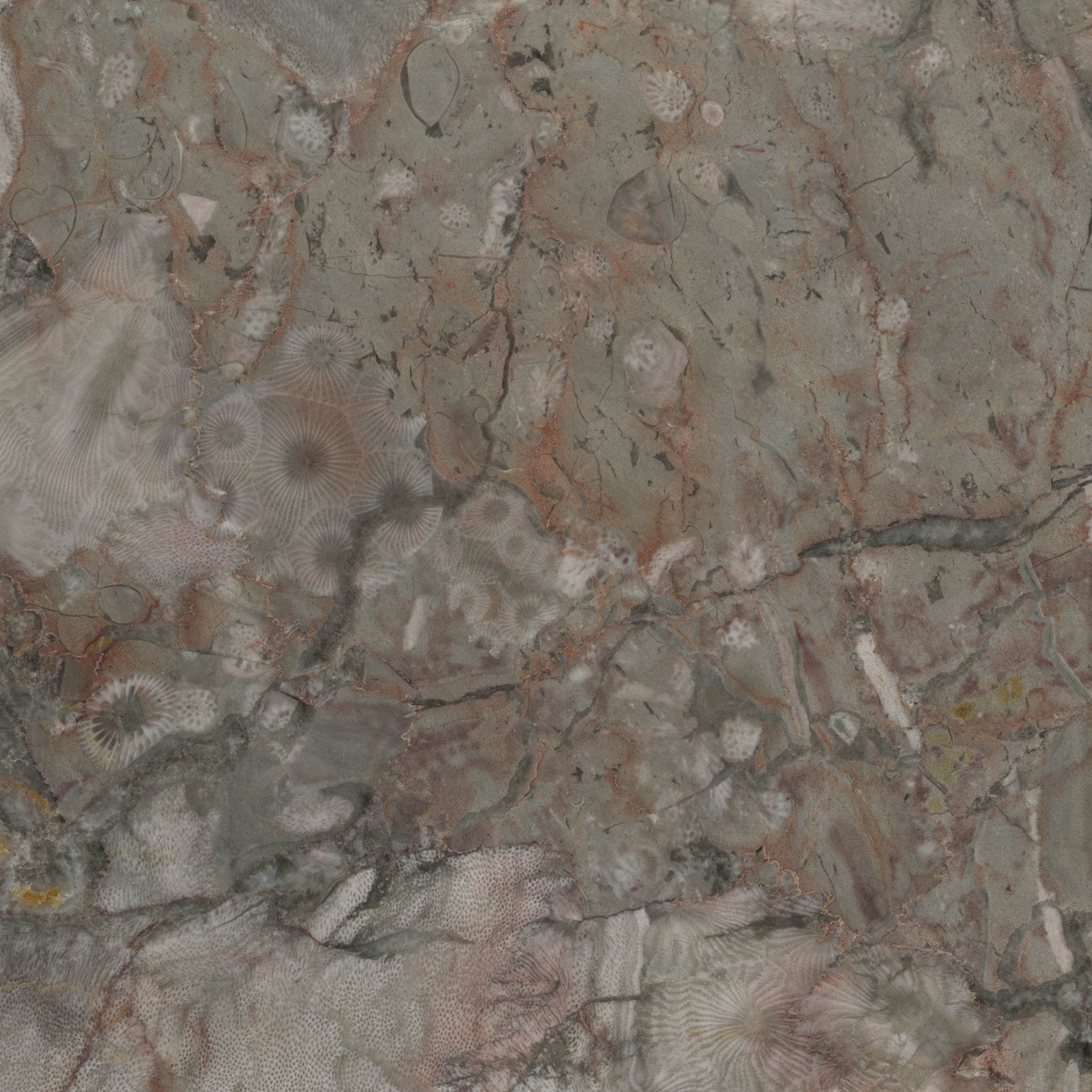 Sardinian - High Resolution Natural Stone Images