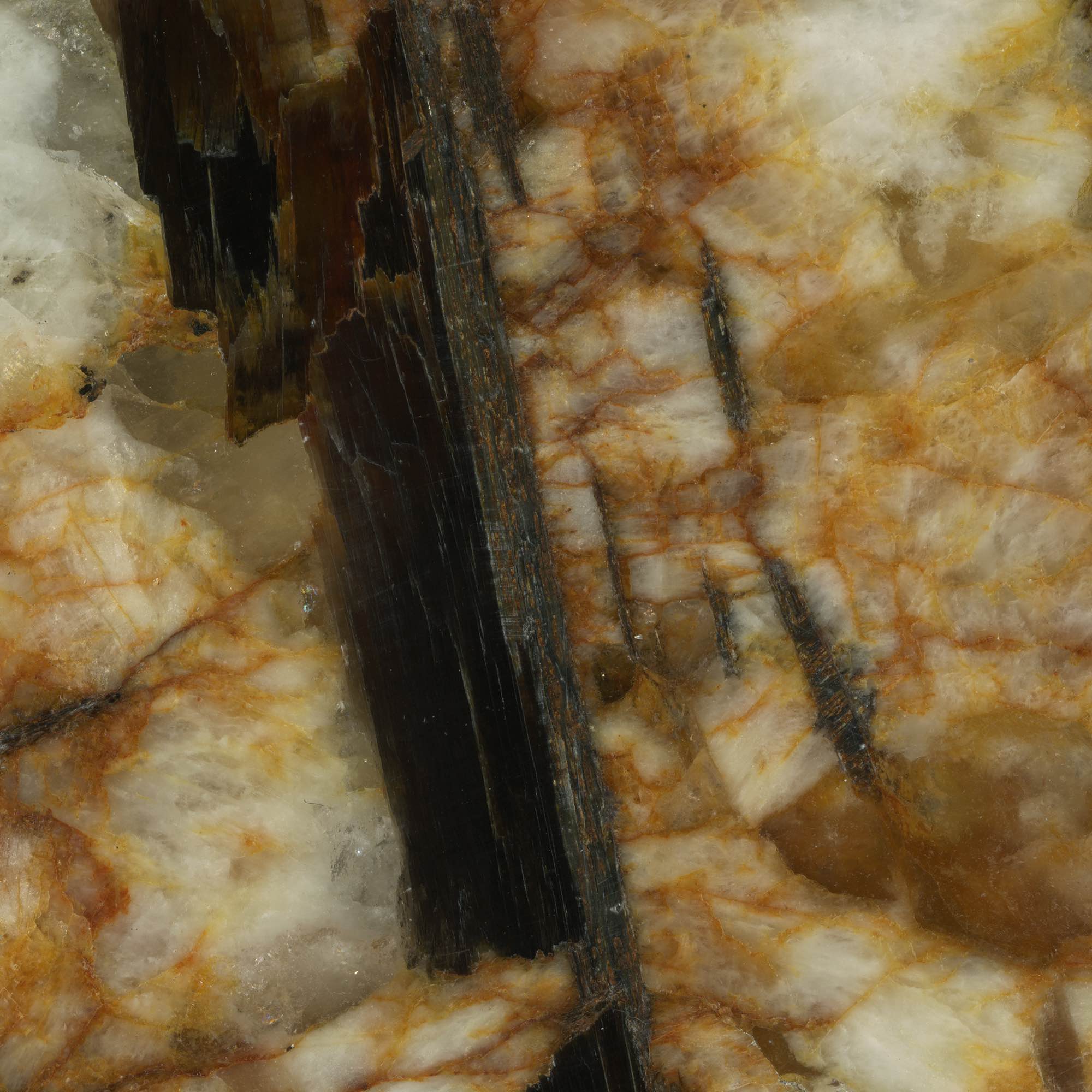 Teragio - High Resolution Natural Stone Images