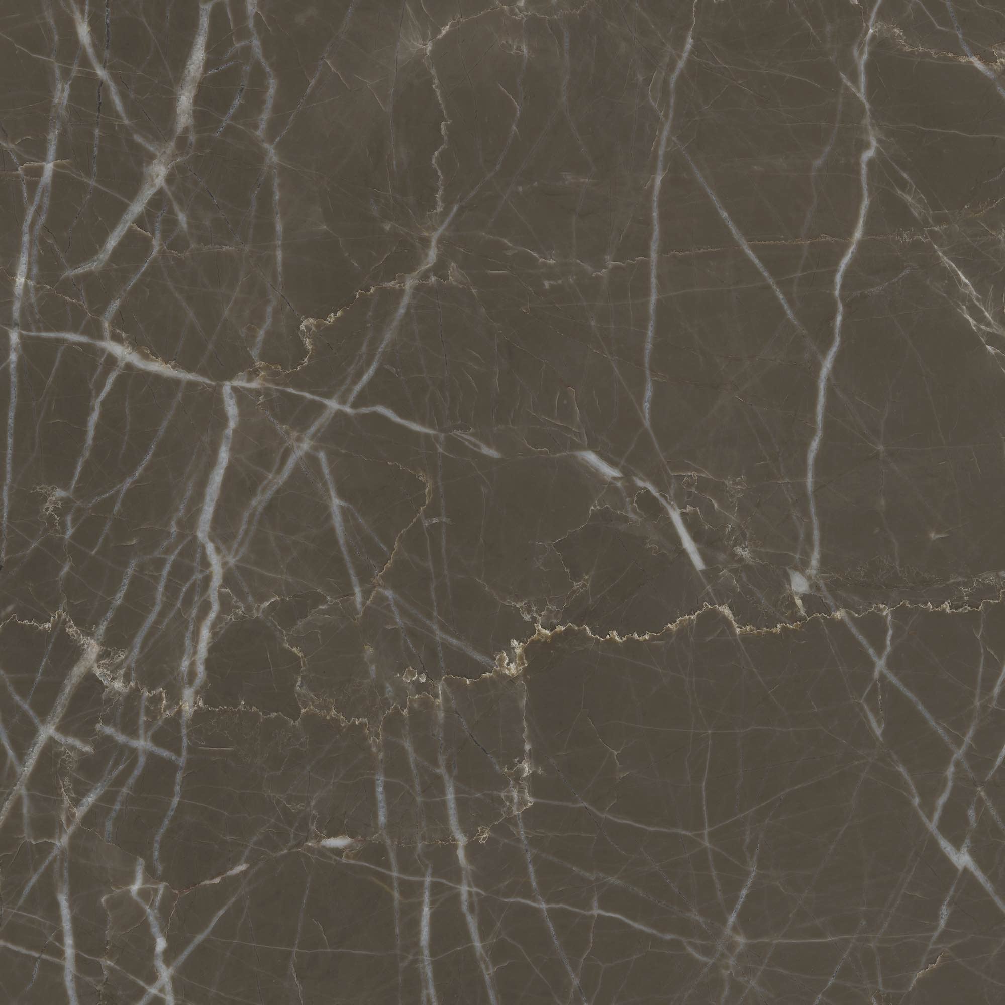 Tortora - High Resolution Natural Stone Images