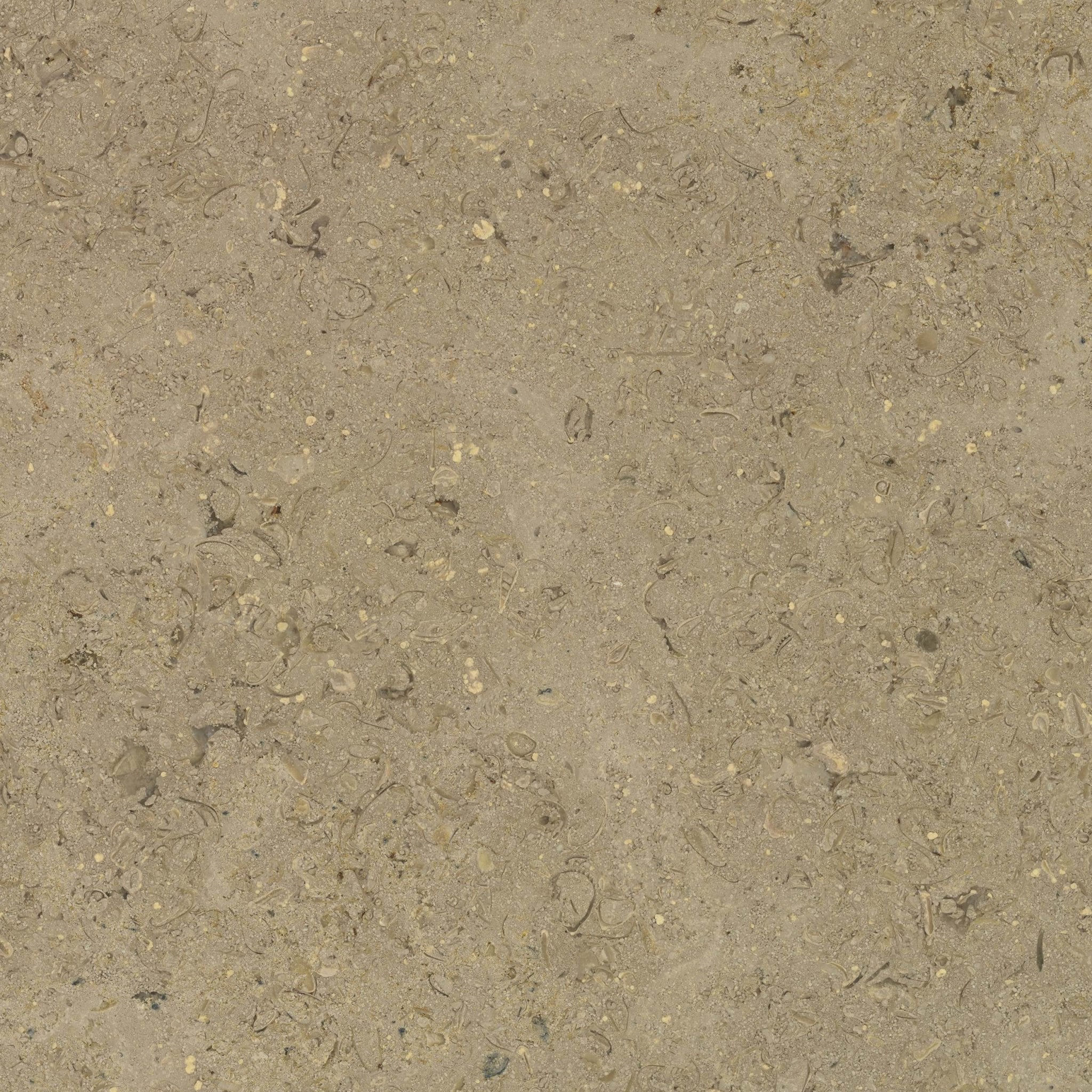 Tuffeau - High Resolution Natural Stone Images