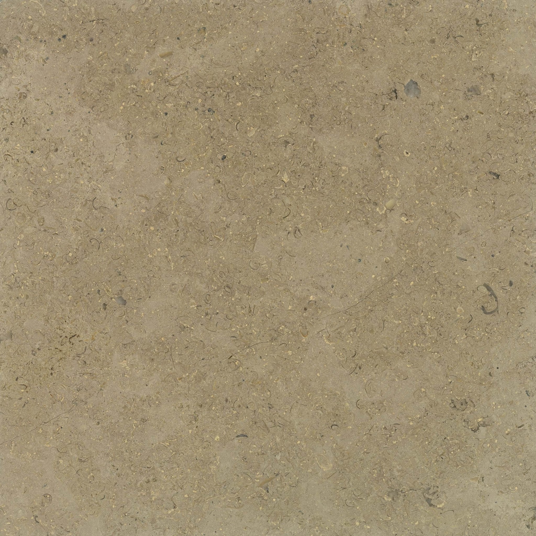 Tuffeau - High Resolution Natural Stone Images