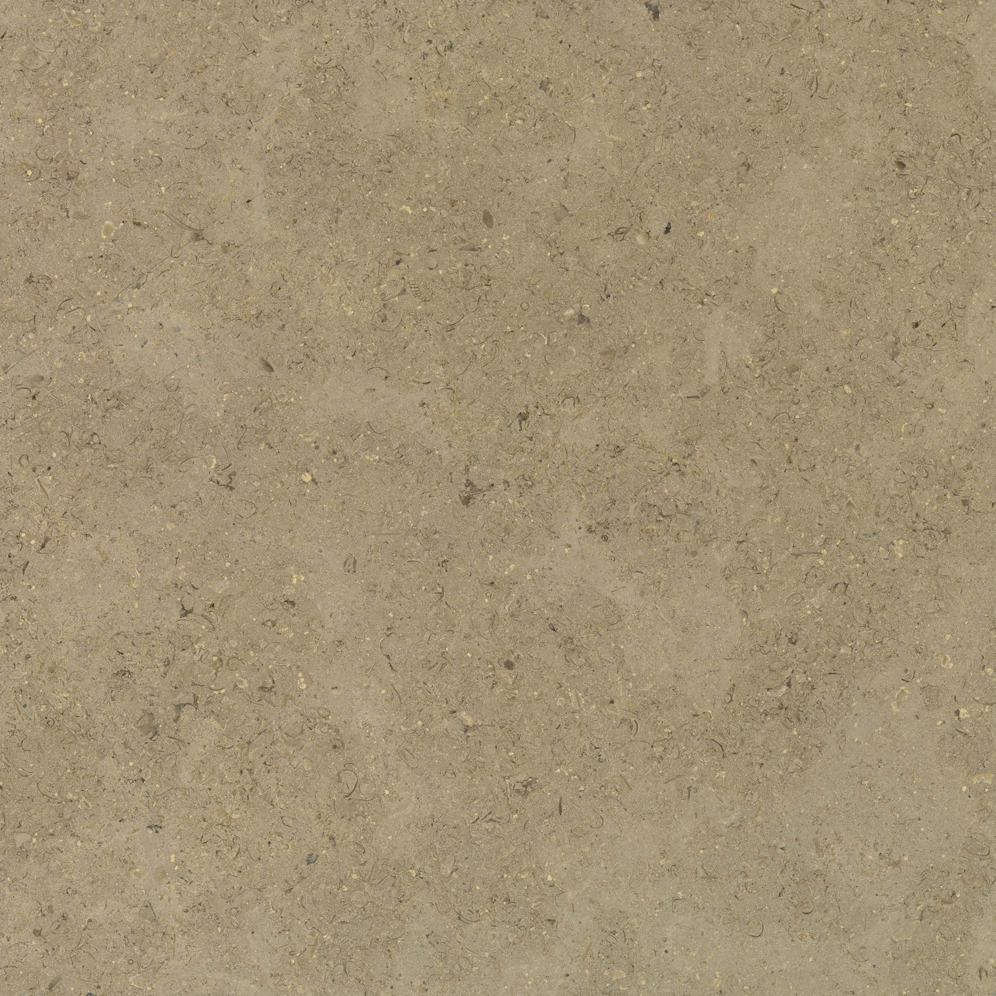 Tuffeau - High Resolution Natural Stone Images