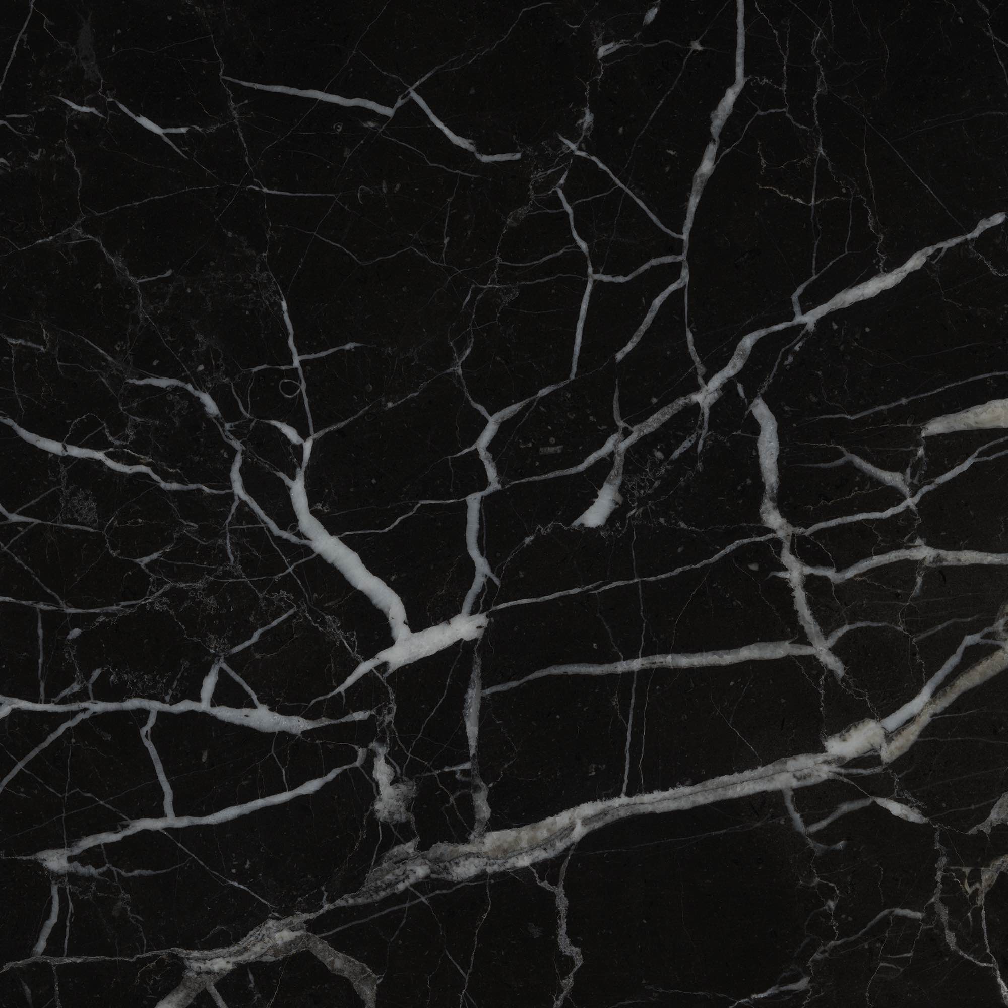 Vasari - High Resolution Natural Stone Images