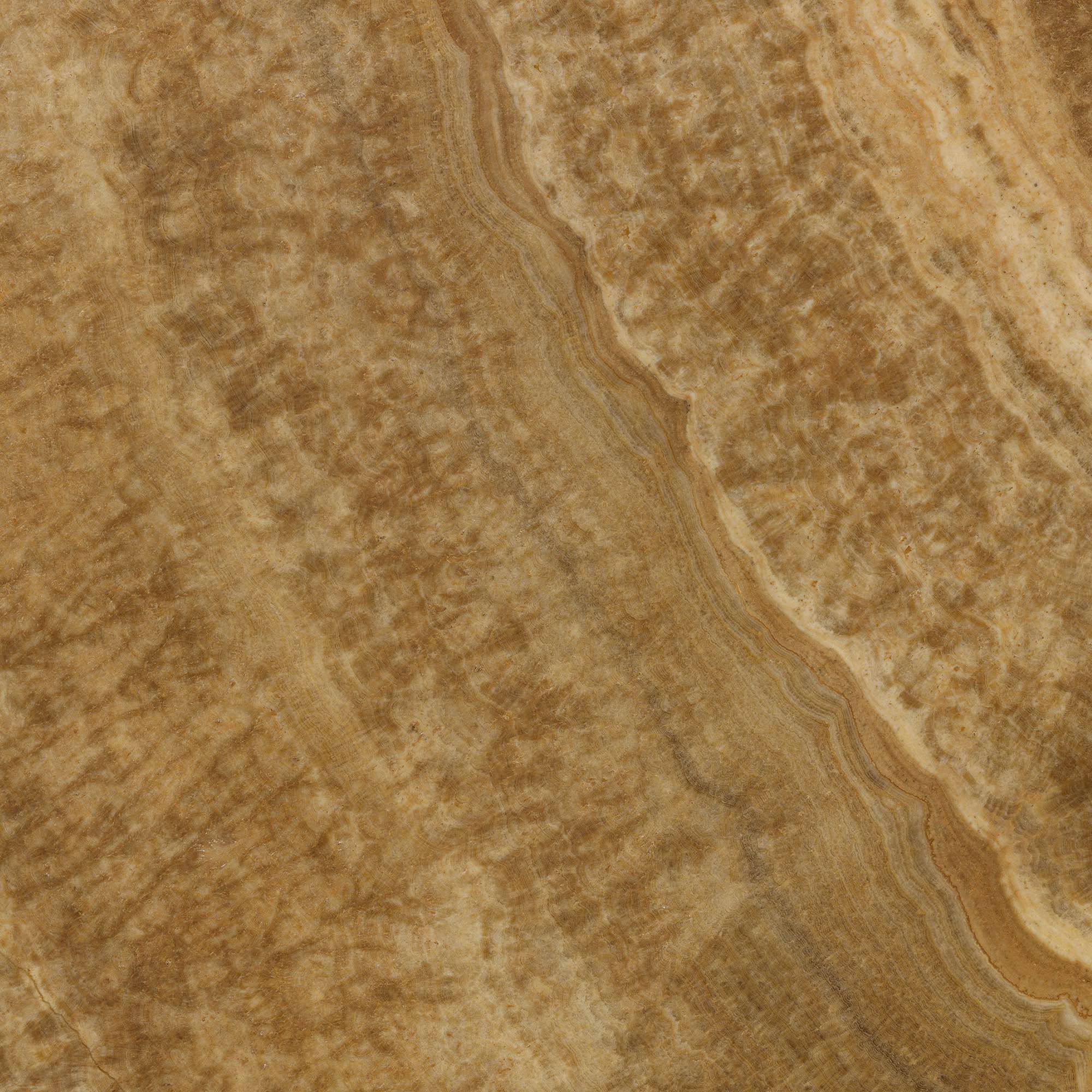 Wenge - High Resolution Natural Stone Images